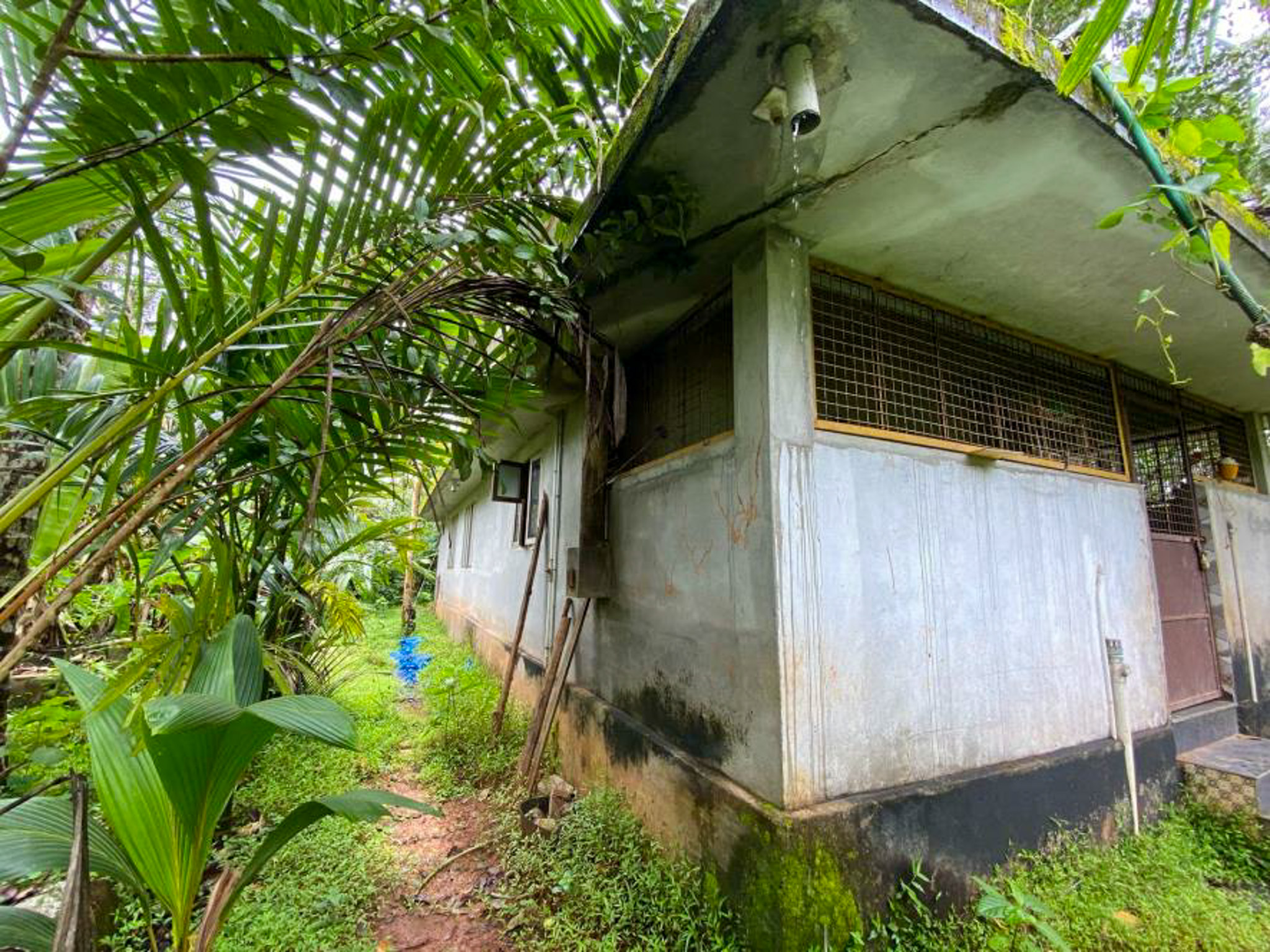 Individual House for sale in Ayancheri — photo 2
