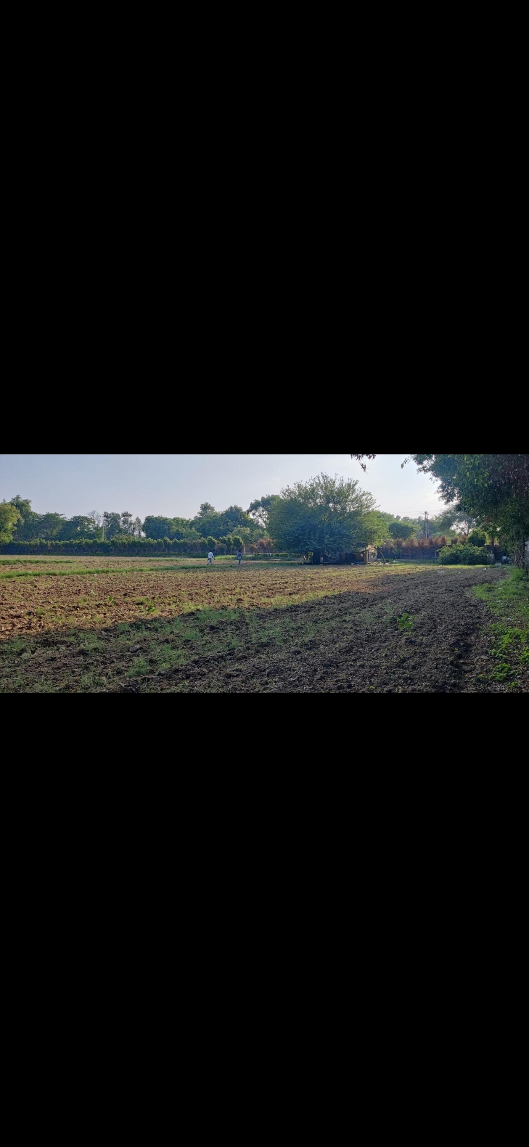 Agriculture Land for sale in Gurugram