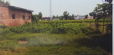 Plot for sale in Arrah — photo 1