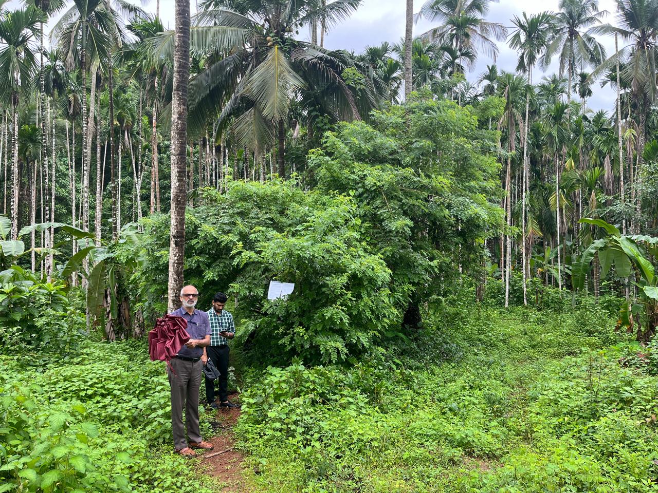Plot for sale in Kanhangad — photo 1