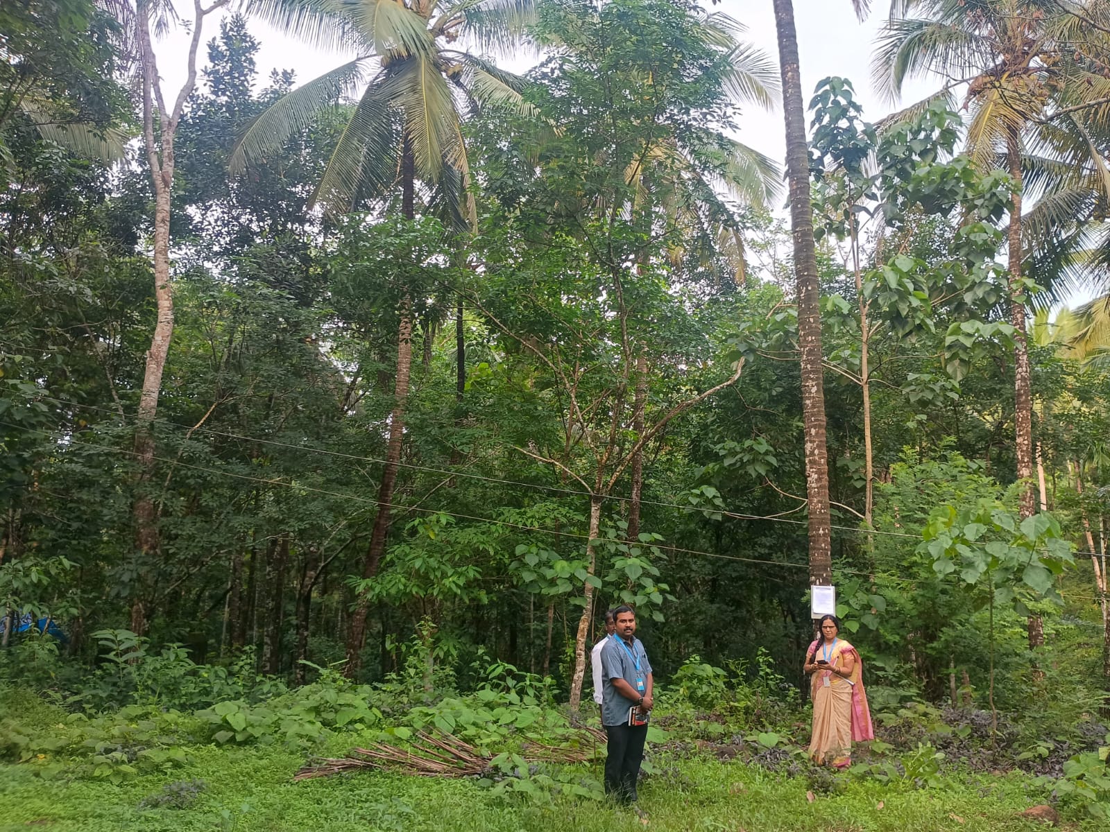 Plot for sale in Kanhangad — photo 1