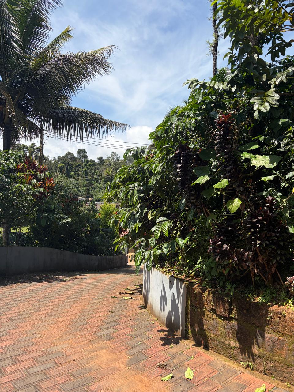 360 square meter Individual House for sale in Madikeri — photo 1