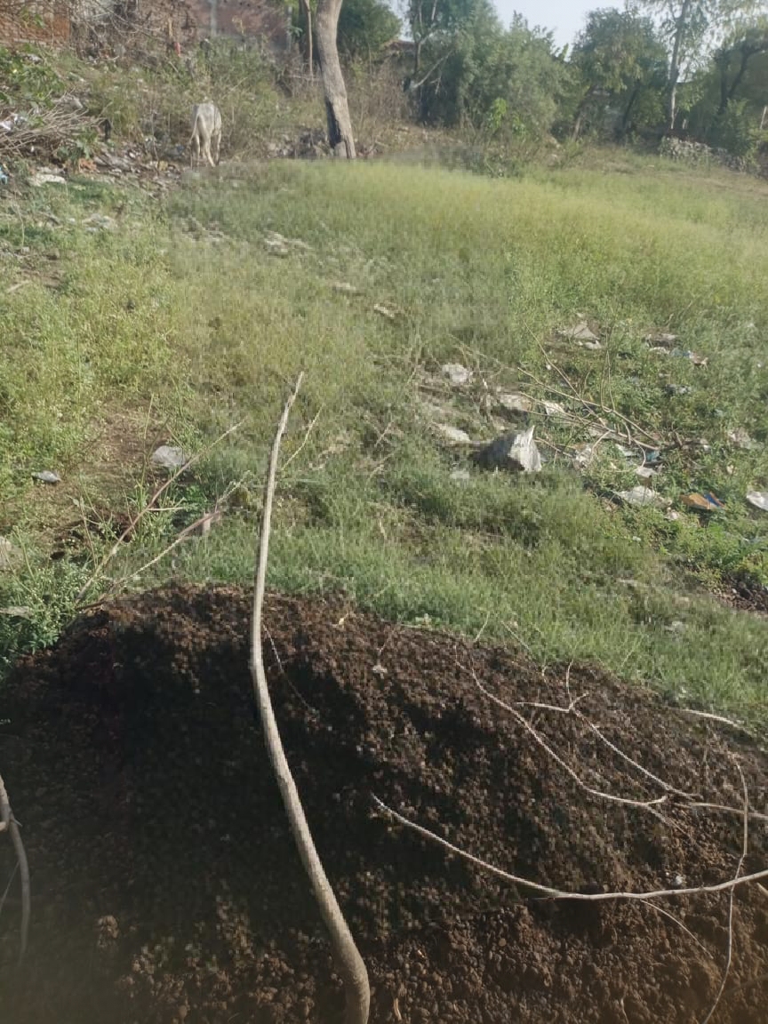 Plot for sale in Maihar — photo 3