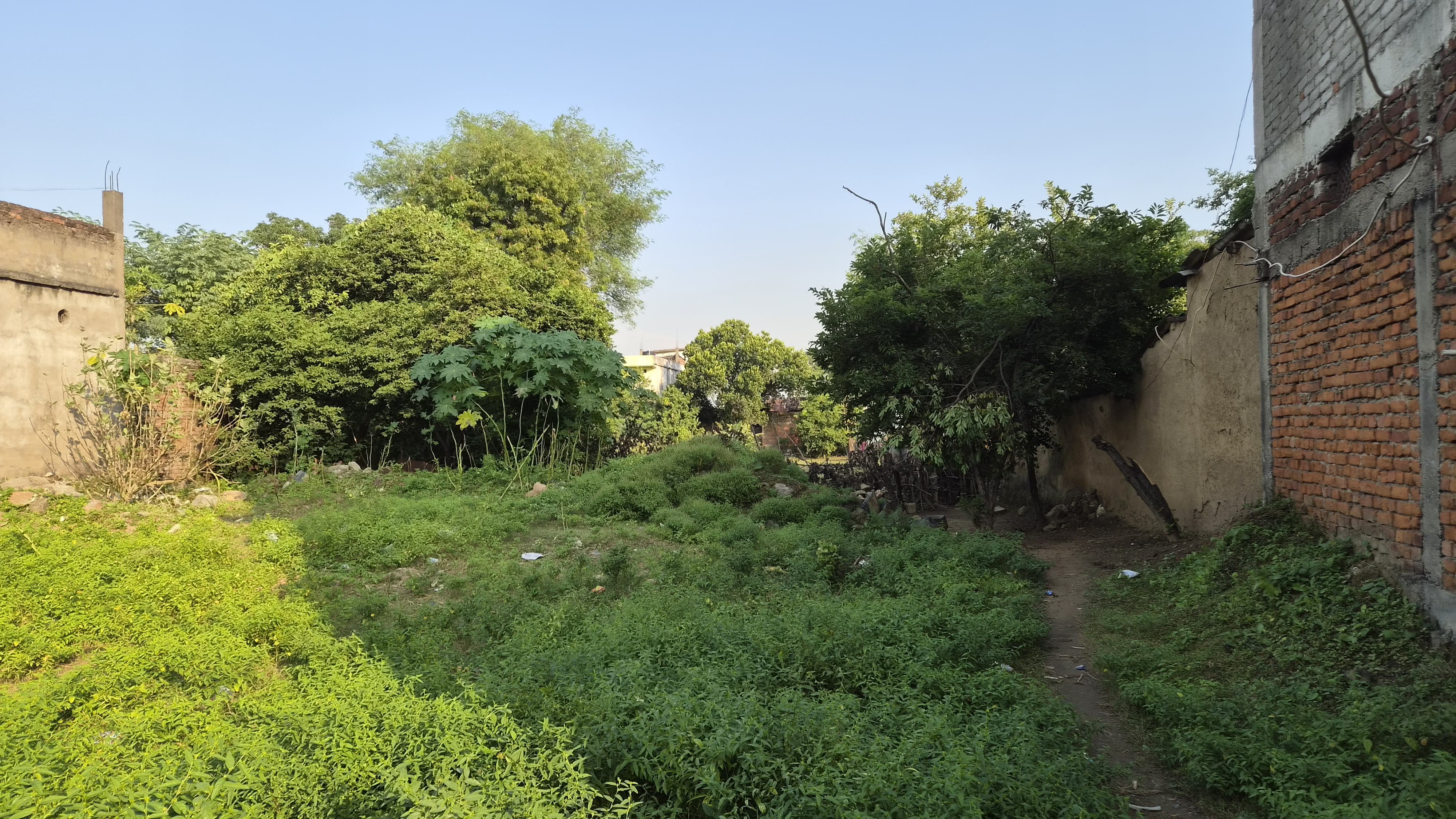 Plot for sale in Maihar — photo 1