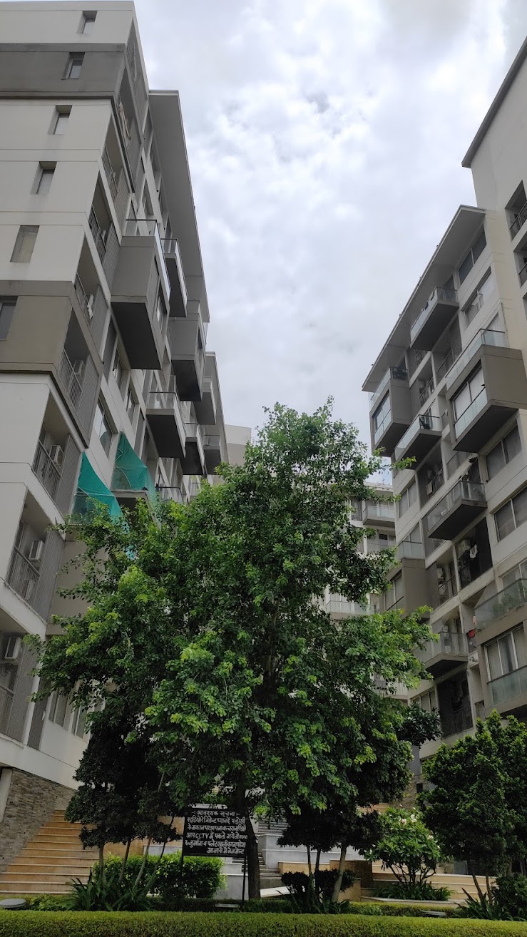 1117.29 square feet Flat for sale in Jaipur — photo 4