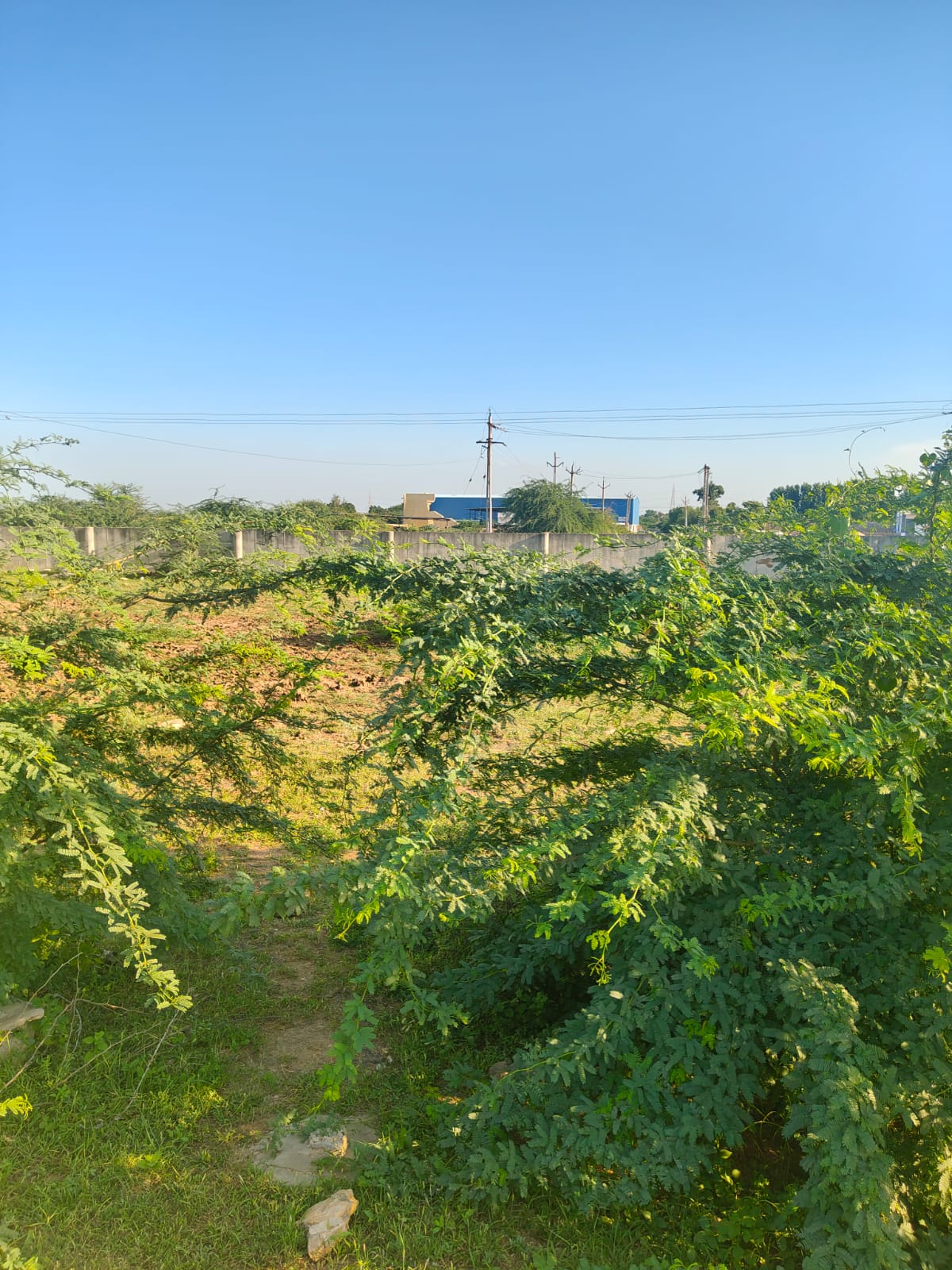 4010.47 square meter Industrial Plot for sale in Mouje Sukhpur in Regisration District Morbi and Sub-District Halvad in the State of Gujarat Halvad