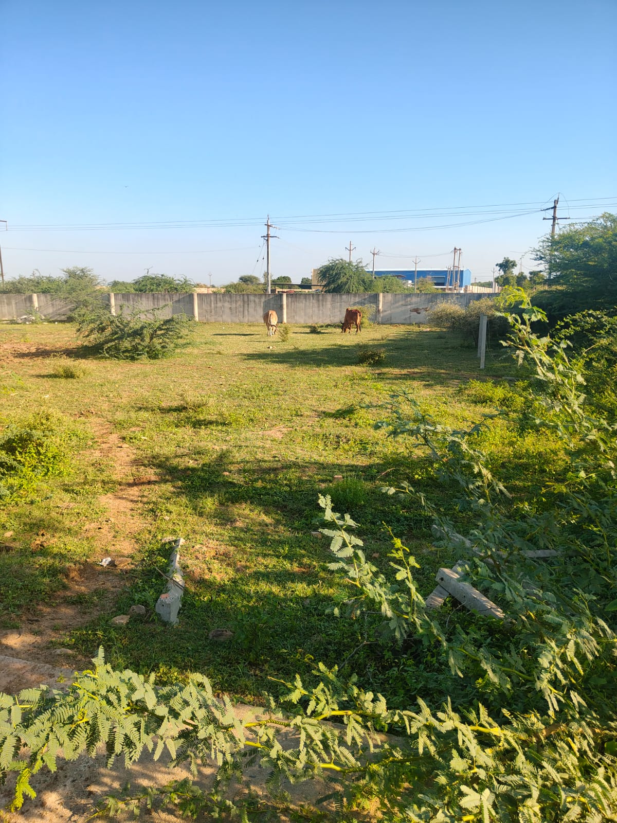 4010.47 square meter Industrial Plot for sale in Mouje Sukhpur in Regisration District Morbi and Sub-District Halvad in the State of Gujarat Halvad — photo 2