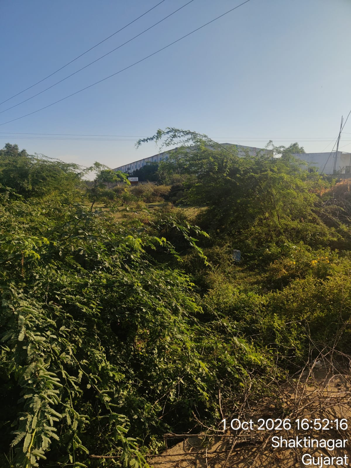 4010.47 square meter Industrial Plot for sale in Mouje Sukhpur in Regisration District Morbi and Sub-District Halvad in the State of Gujarat Halvad — photo 3