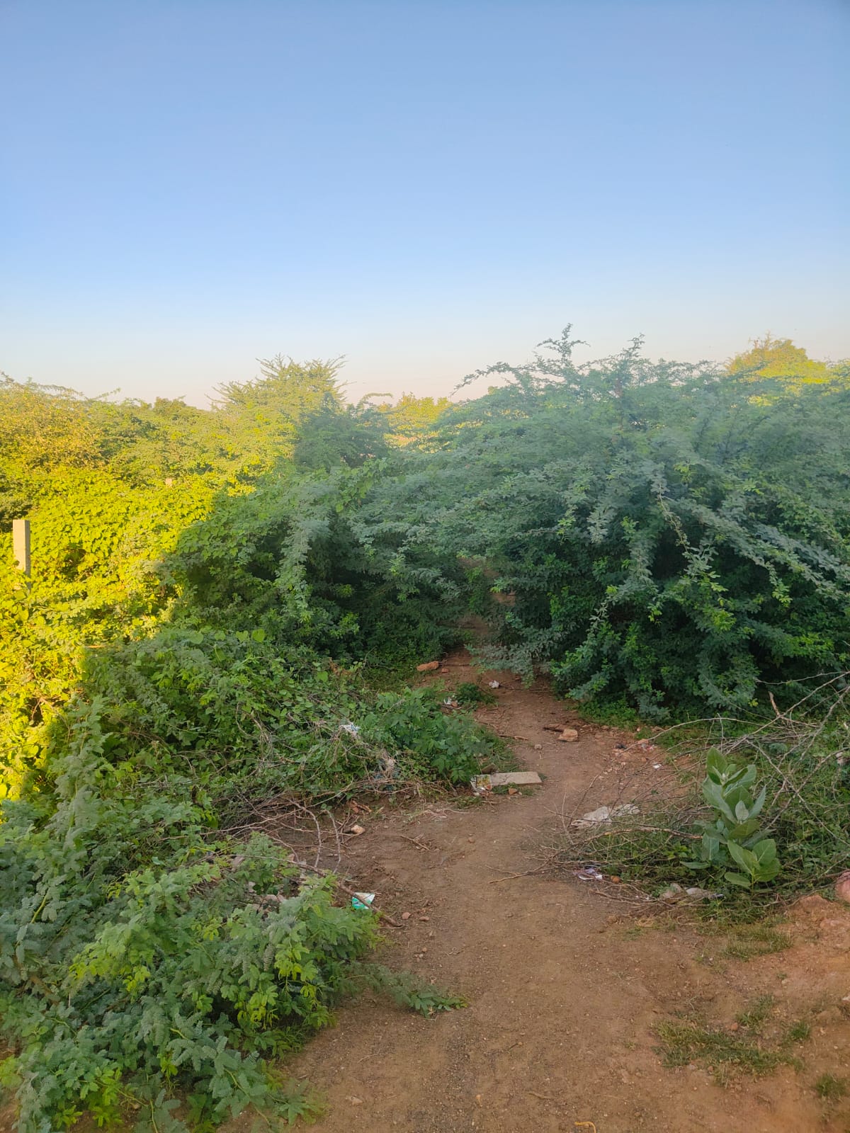 2623.69 square feet Industrial Plot for sale in Mouje Sukhpur in Regisration District Morbi and Sub-District Halvad in the State of Gujarat Halvad