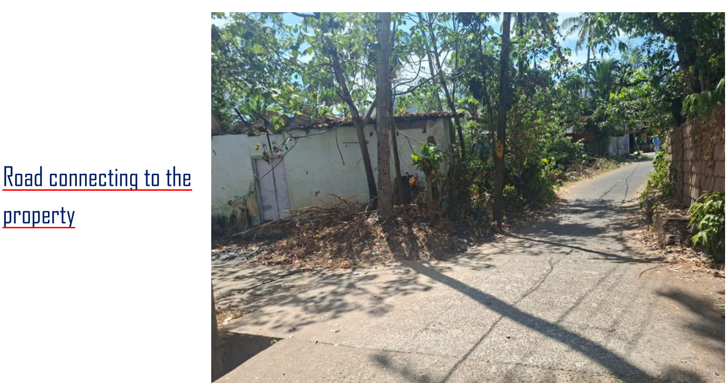 Plot for sale in CHENGOOR Adichanalloor — photo 3