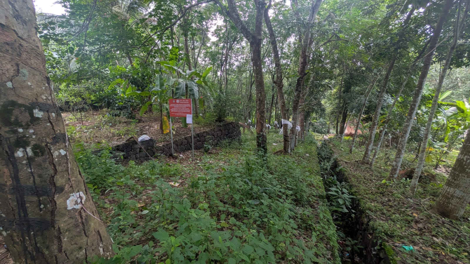 Plot for sale in KADUTHURUTHI Vaikom — photo 1