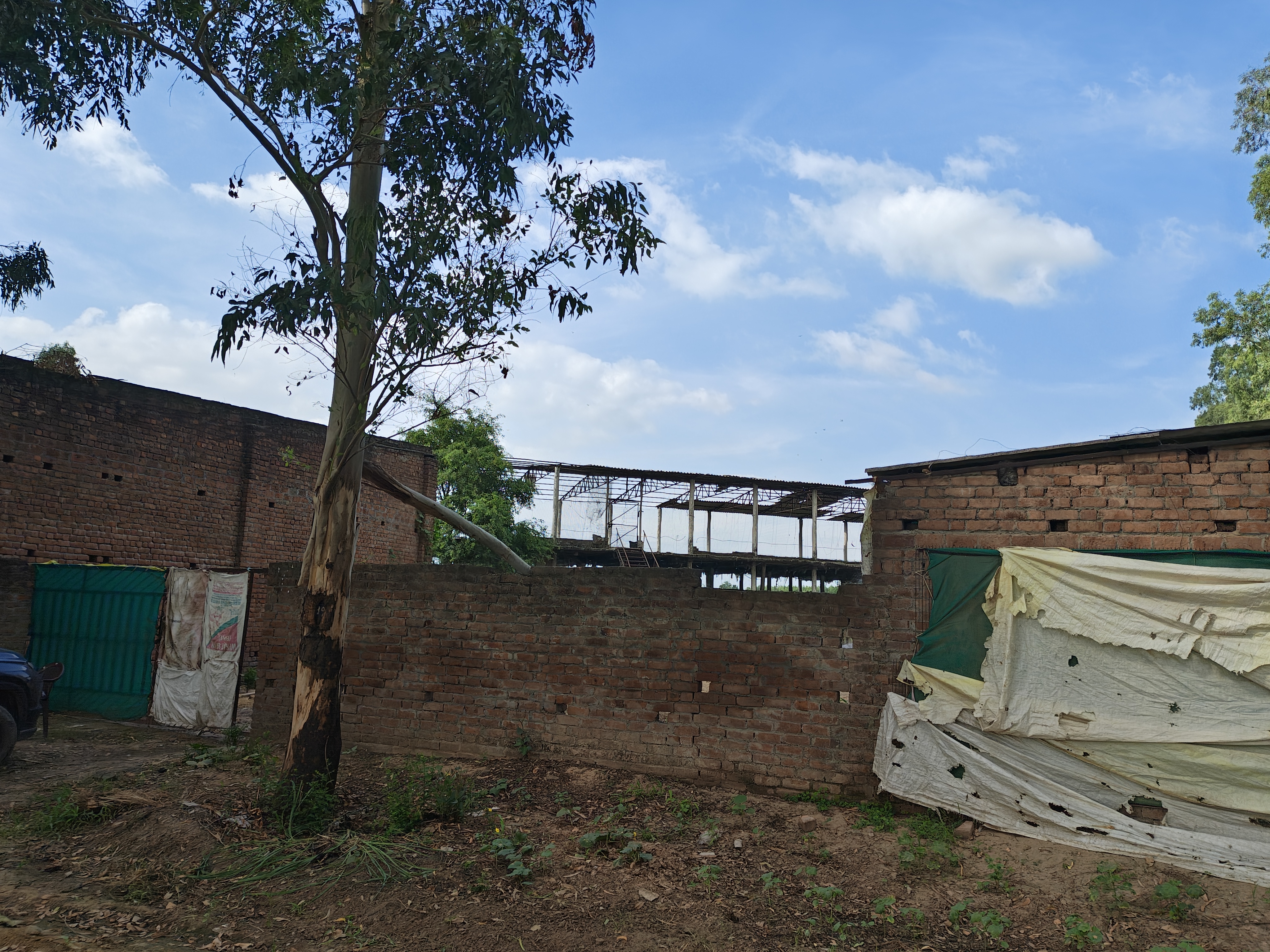 Poultry Farm for sale in Ismailabad