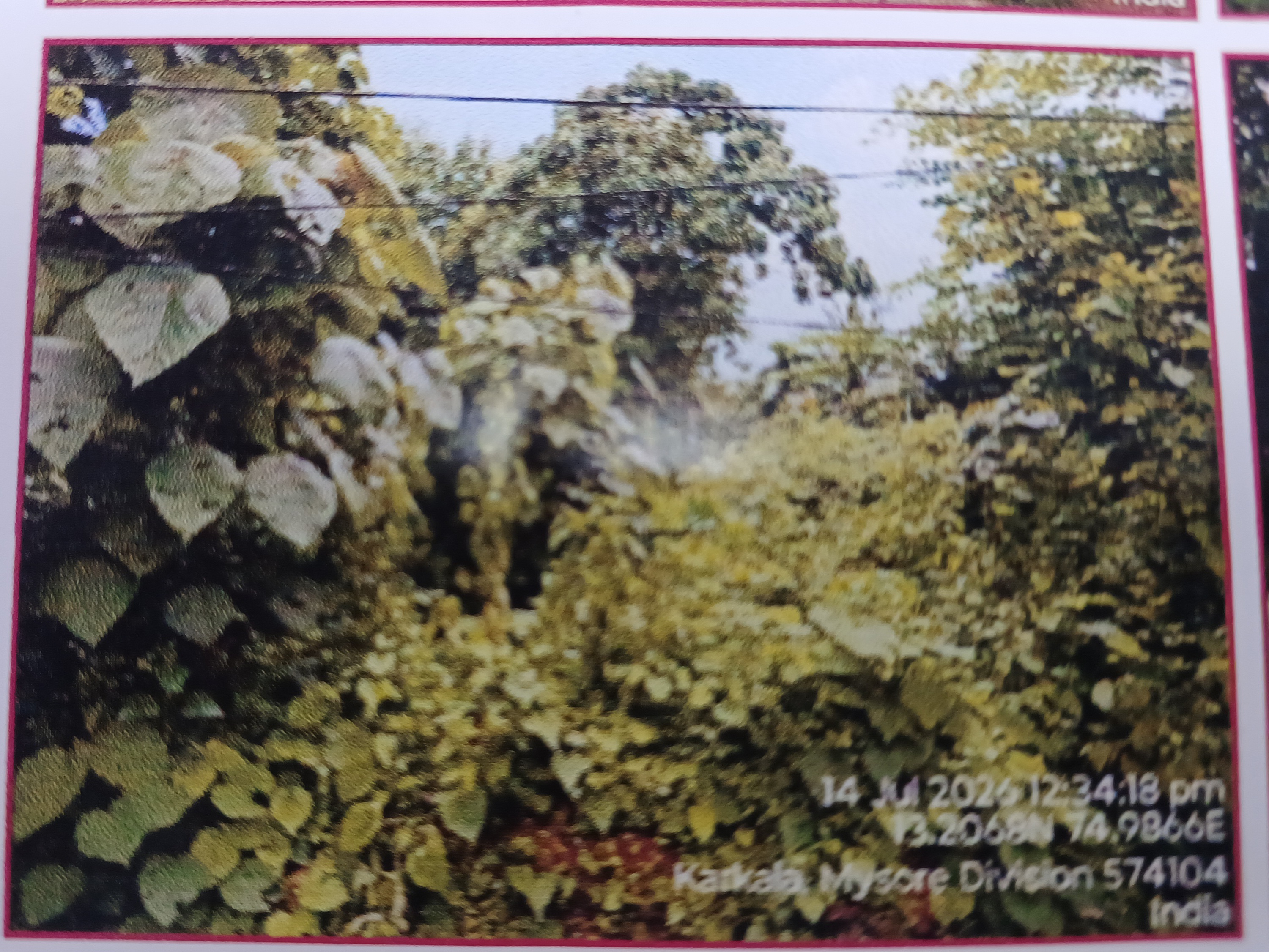 Plot for sale in — photo 3