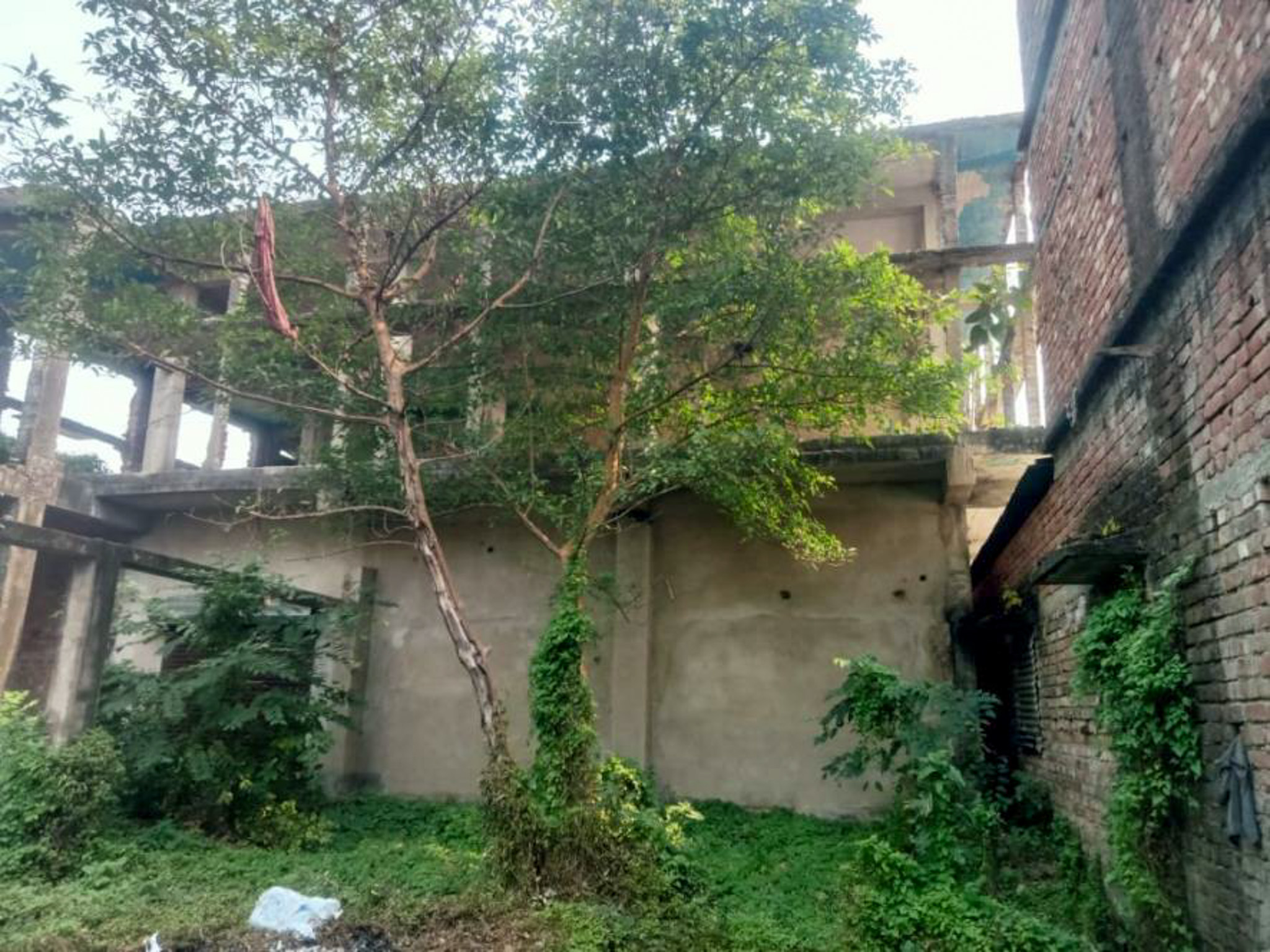 Office for sale in mouza-khanakkhanpur, VILL-BHIMPUR BANDIPUR GRAM PANCHAYET Bargachhia Hooghly — photo 5