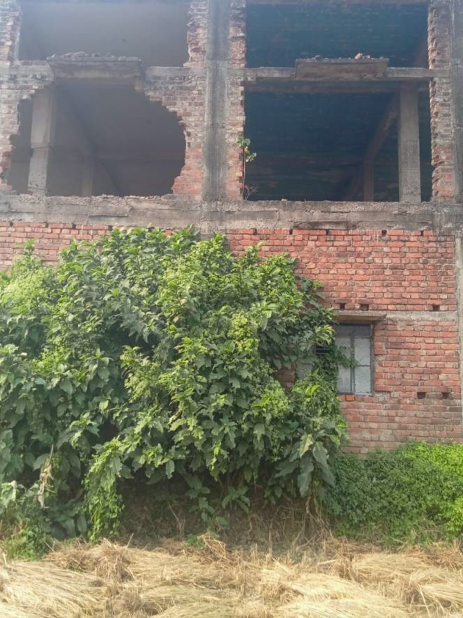 Office for sale in mouza-khanakkhanpur, VILL-BHIMPUR BANDIPUR GRAM PANCHAYET Bargachhia Hooghly — photo 11