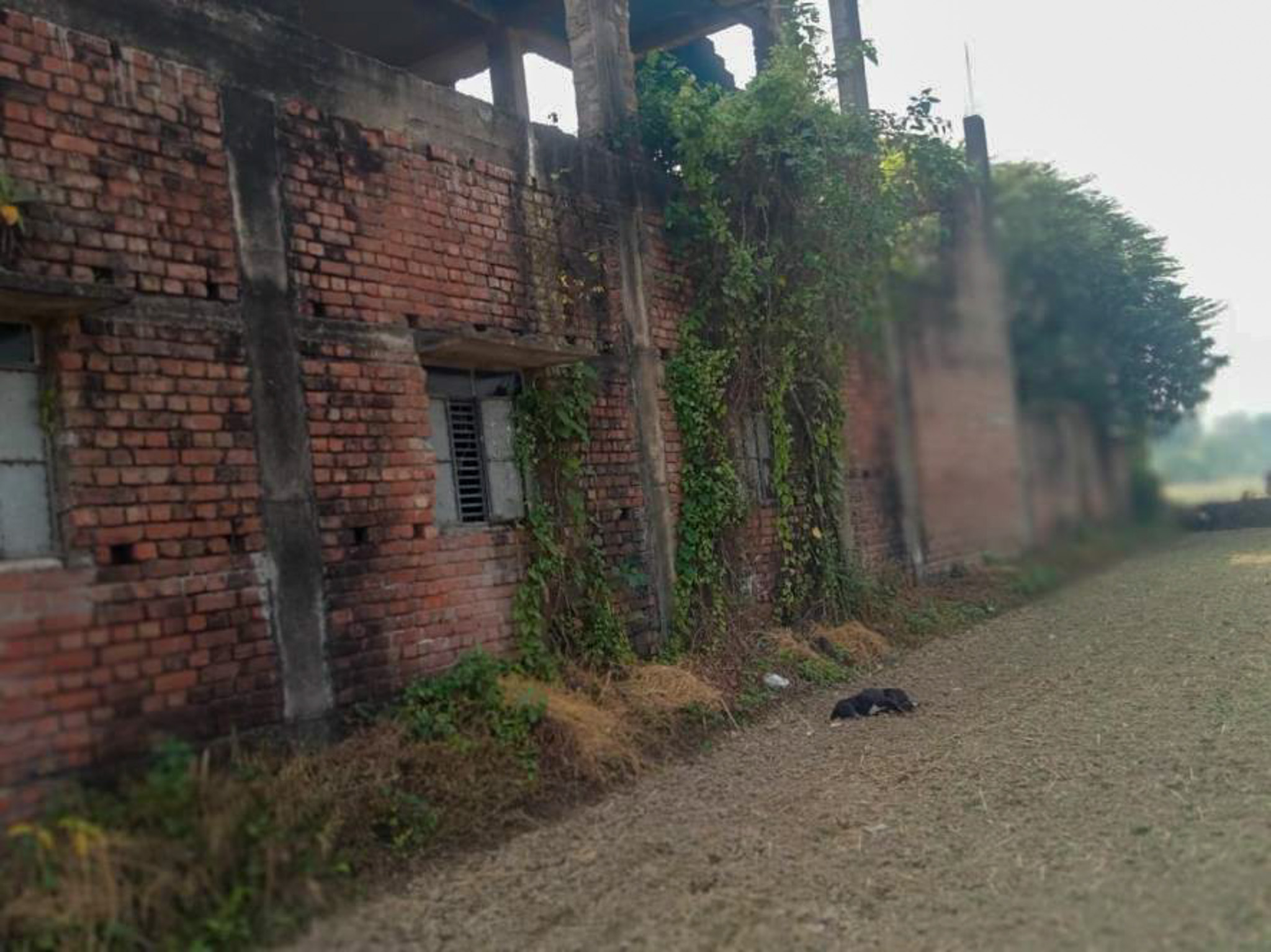 Office for sale in mouza-khanakkhanpur, VILL-BHIMPUR BANDIPUR GRAM PANCHAYET Bargachhia Hooghly — photo 22