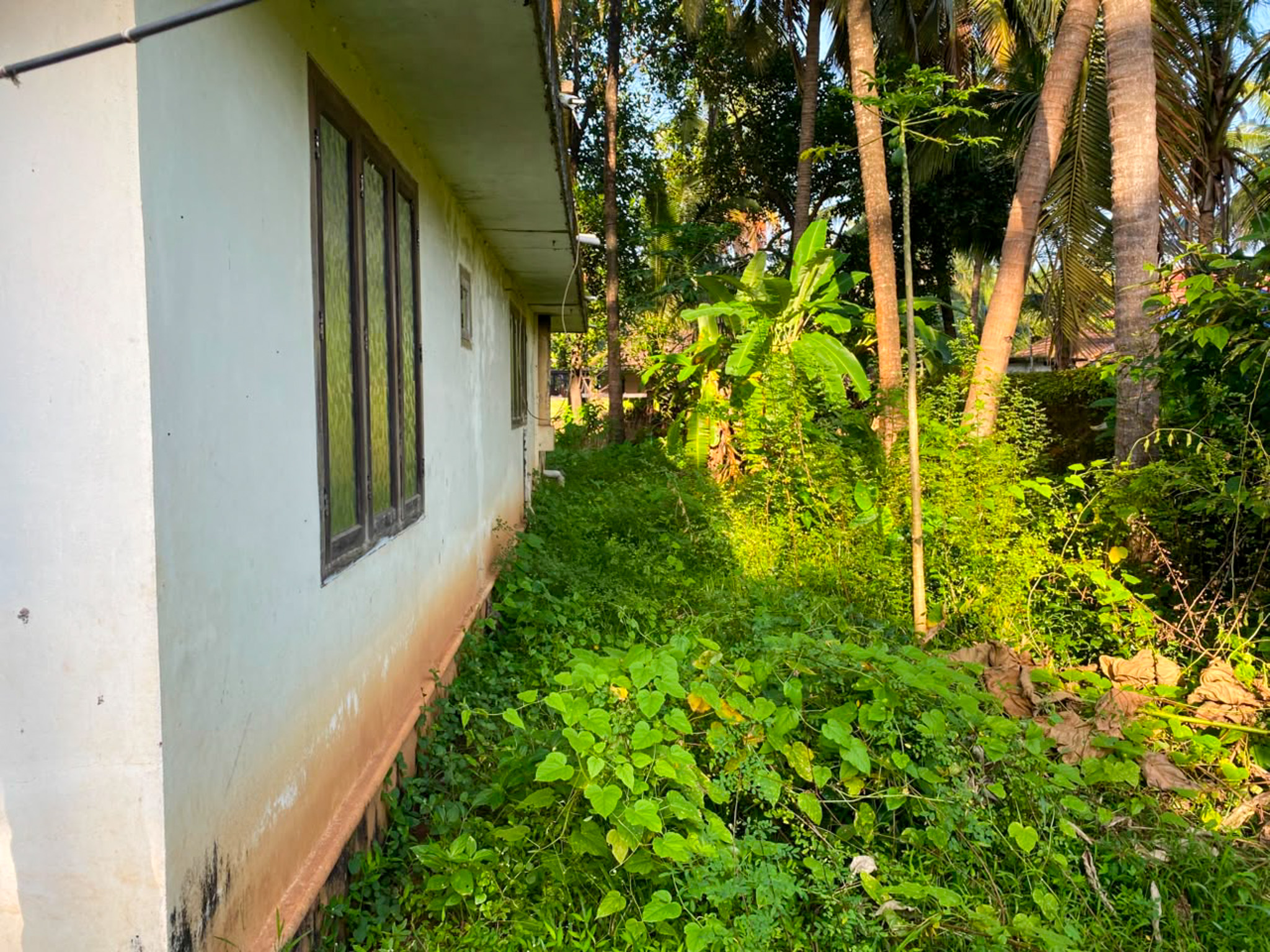 3 BHK Individual House for sale in Biju Samikutty, Beach Road, Bekal P O Hosdurg Bare — photo 2