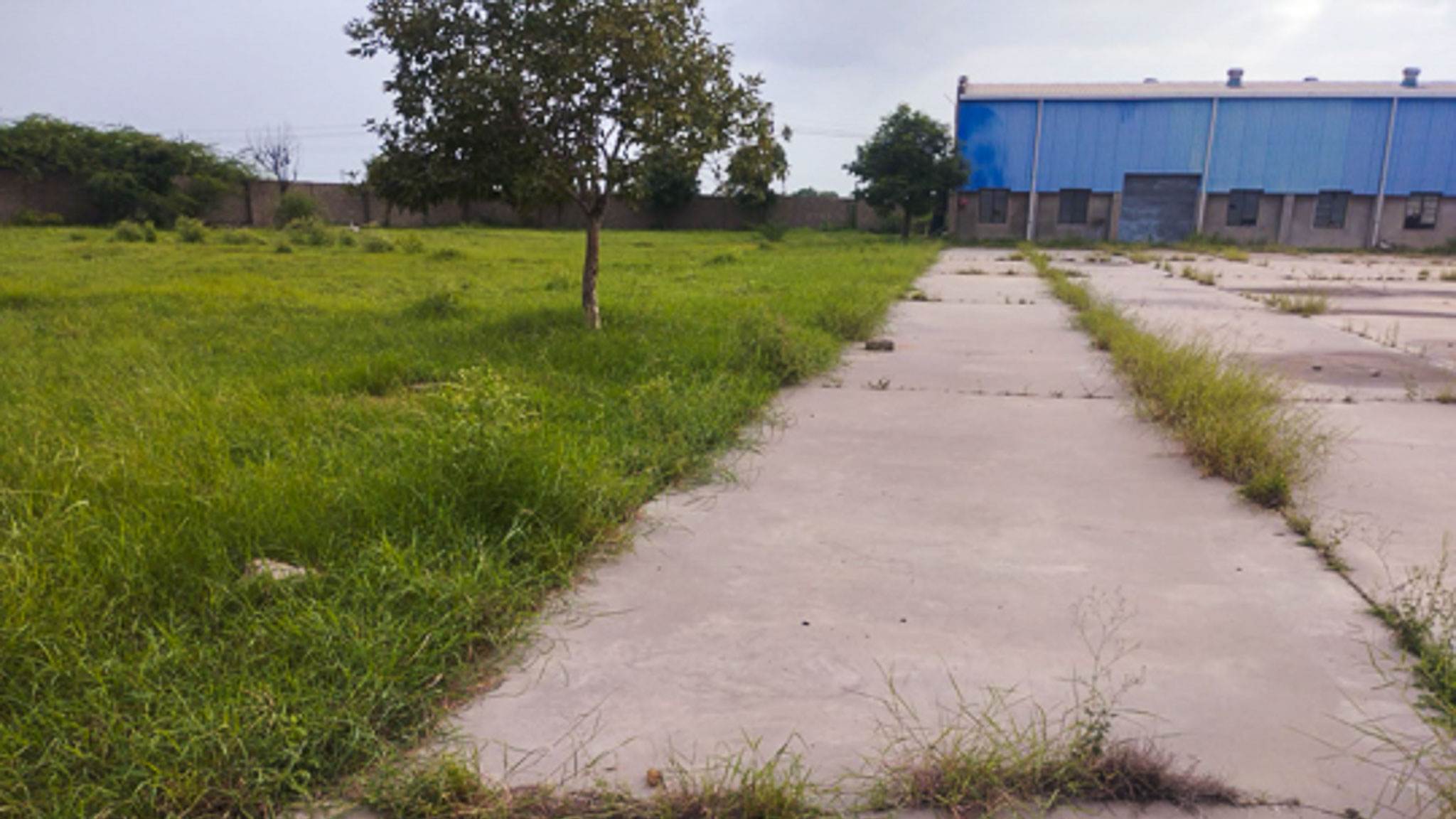 22359 square meter Industrial Plot with Factory Building for sale in Behind a G.E.B. Sub-station, Chuli, Dhrangadhra, Dist: Surendranagar Dhrangadhra — photo 12