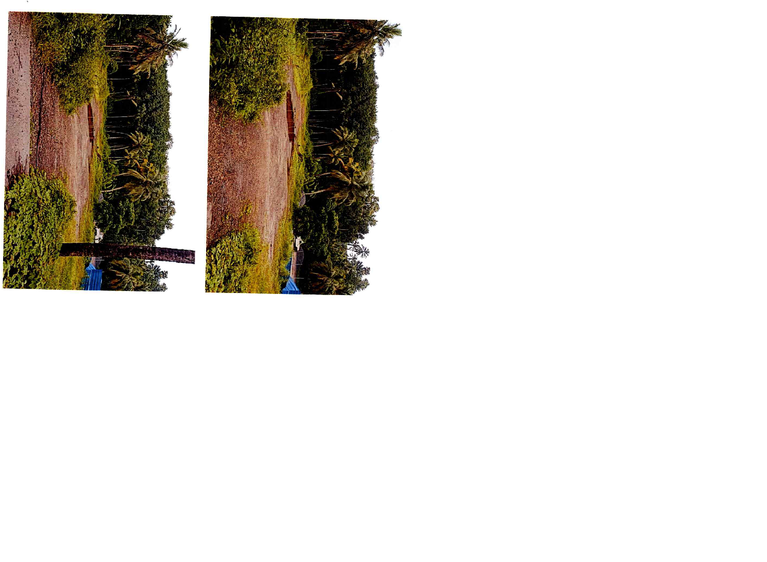 LAND ONLY for sale in Kollam — photo 3