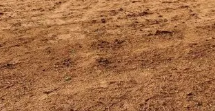 10100 square meter Industrial Plot for sale in Navapur — photo 3