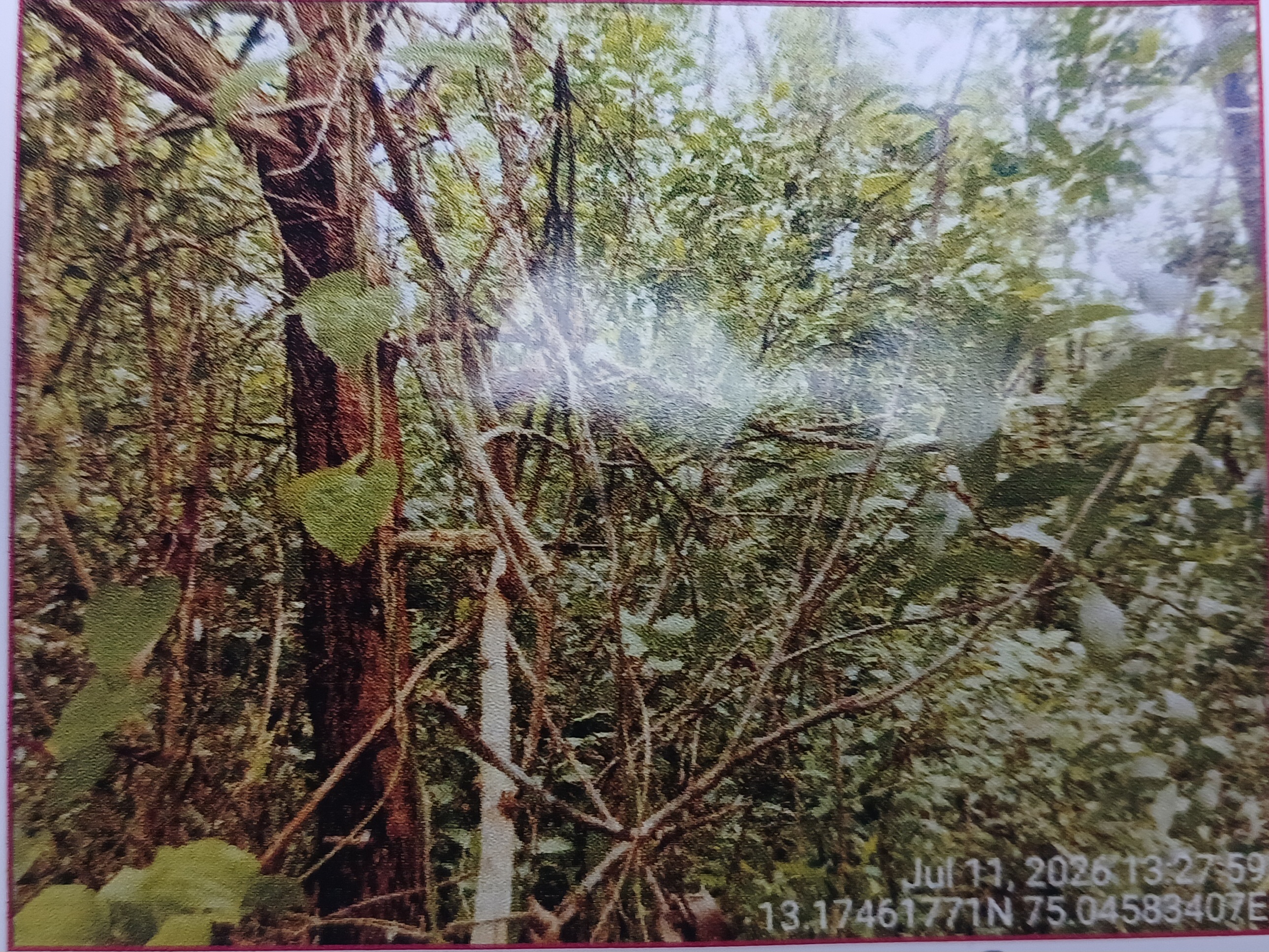 Plot for sale in Rural BAJEGOLI — photo 3