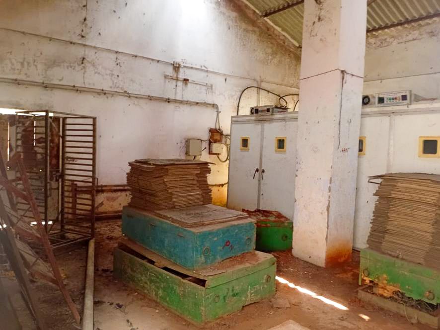 Individual House for sale in BANIPADA Cuttack — photo 19
