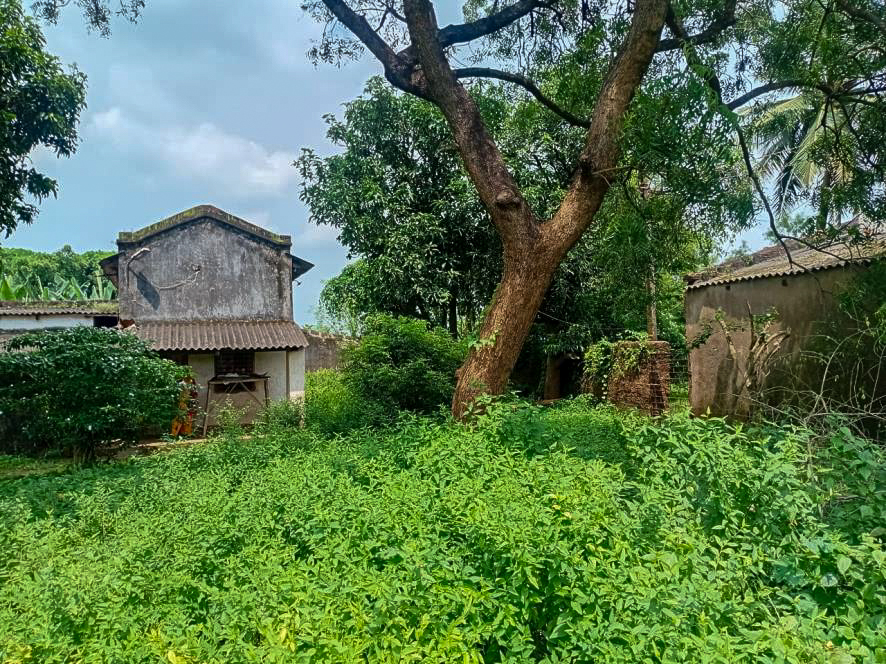 Individual House for sale in BANIPADA Cuttack — photo 2