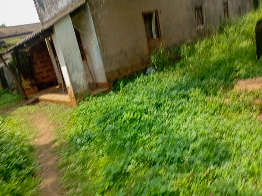 Individual House for sale in BANIPADA Cuttack — photo 11