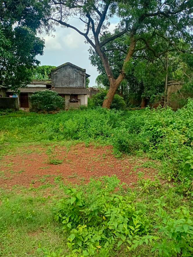 Individual House for sale in BANIPADA Cuttack — photo 10