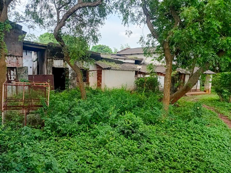 Individual House for sale in BANIPADA Cuttack — photo 18