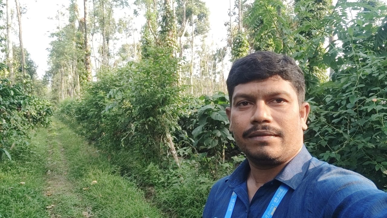 Agriculture Land for sale in Belur — photo 2