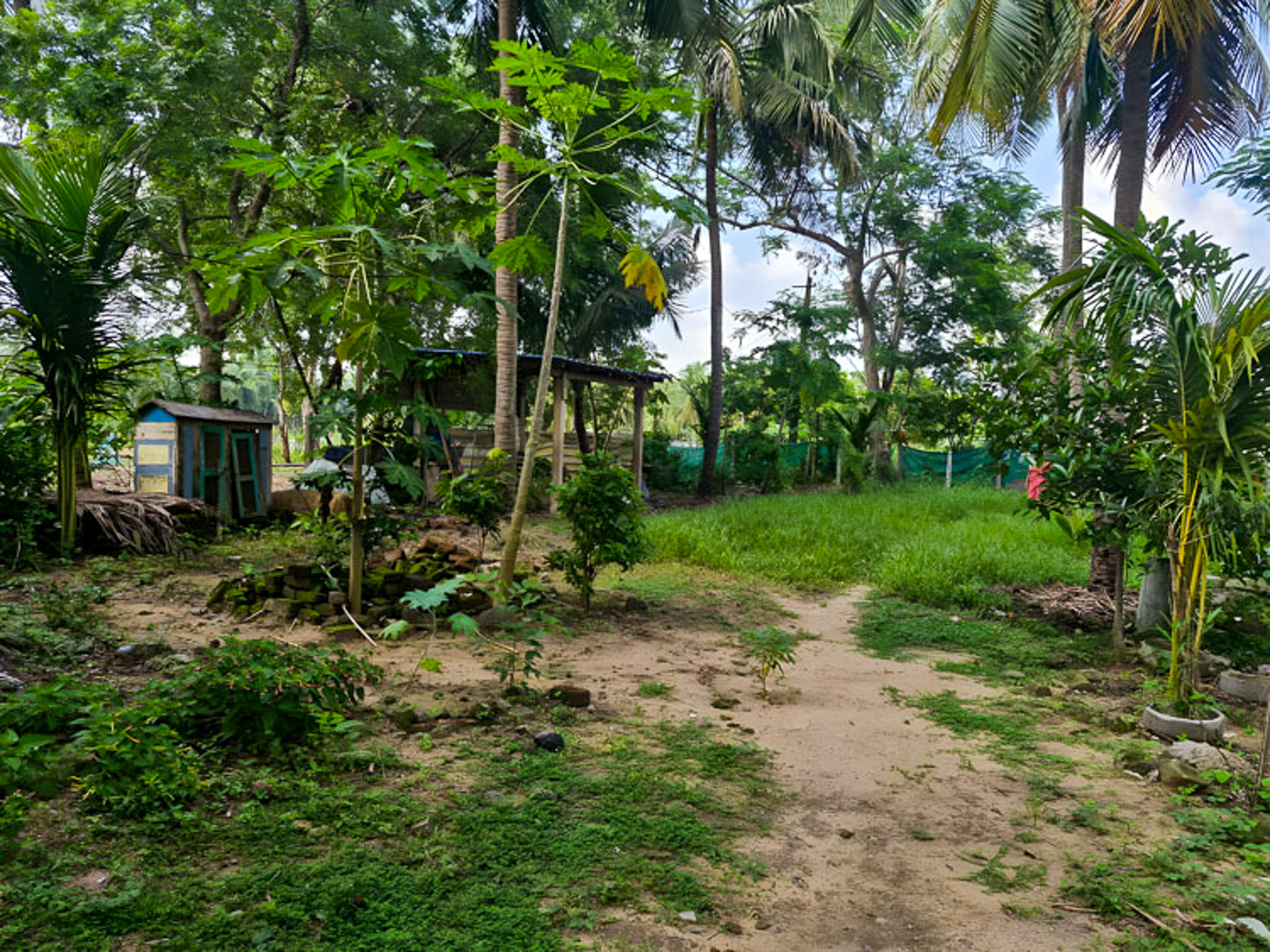 691.15 square yard Individual House for sale in Edarapalli Amalapuram — photo 13