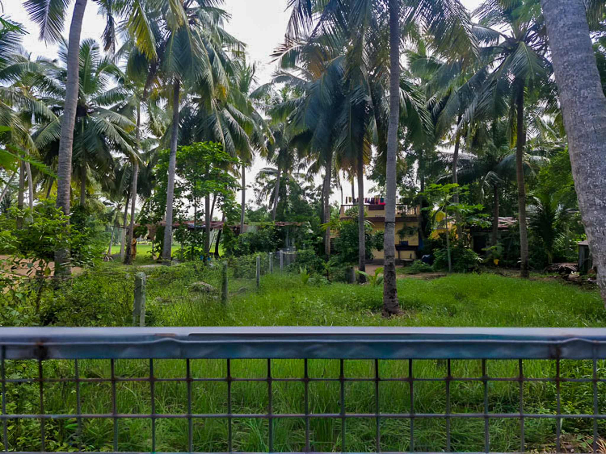 691.15 square yard Individual House for sale in Edarapalli Amalapuram — photo 16