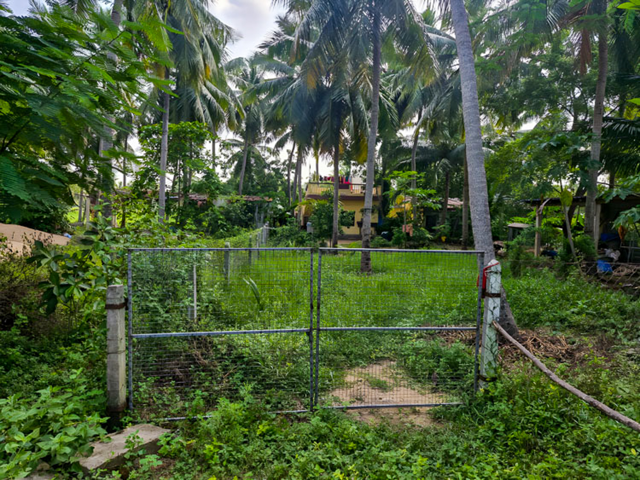 691.15 square yard Individual House for sale in Edarapalli Amalapuram — photo 15