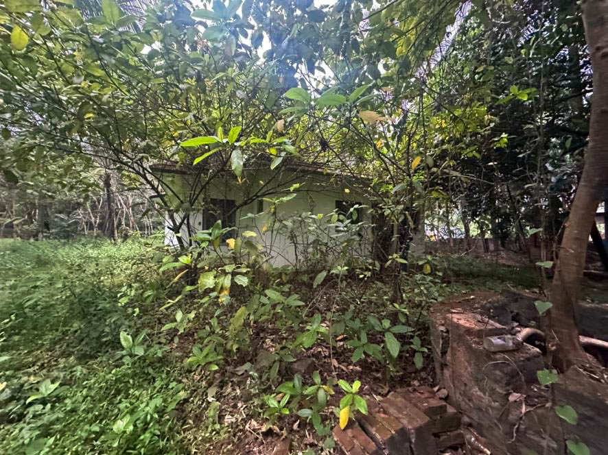 Individual House for sale in Karamuck — photo 19