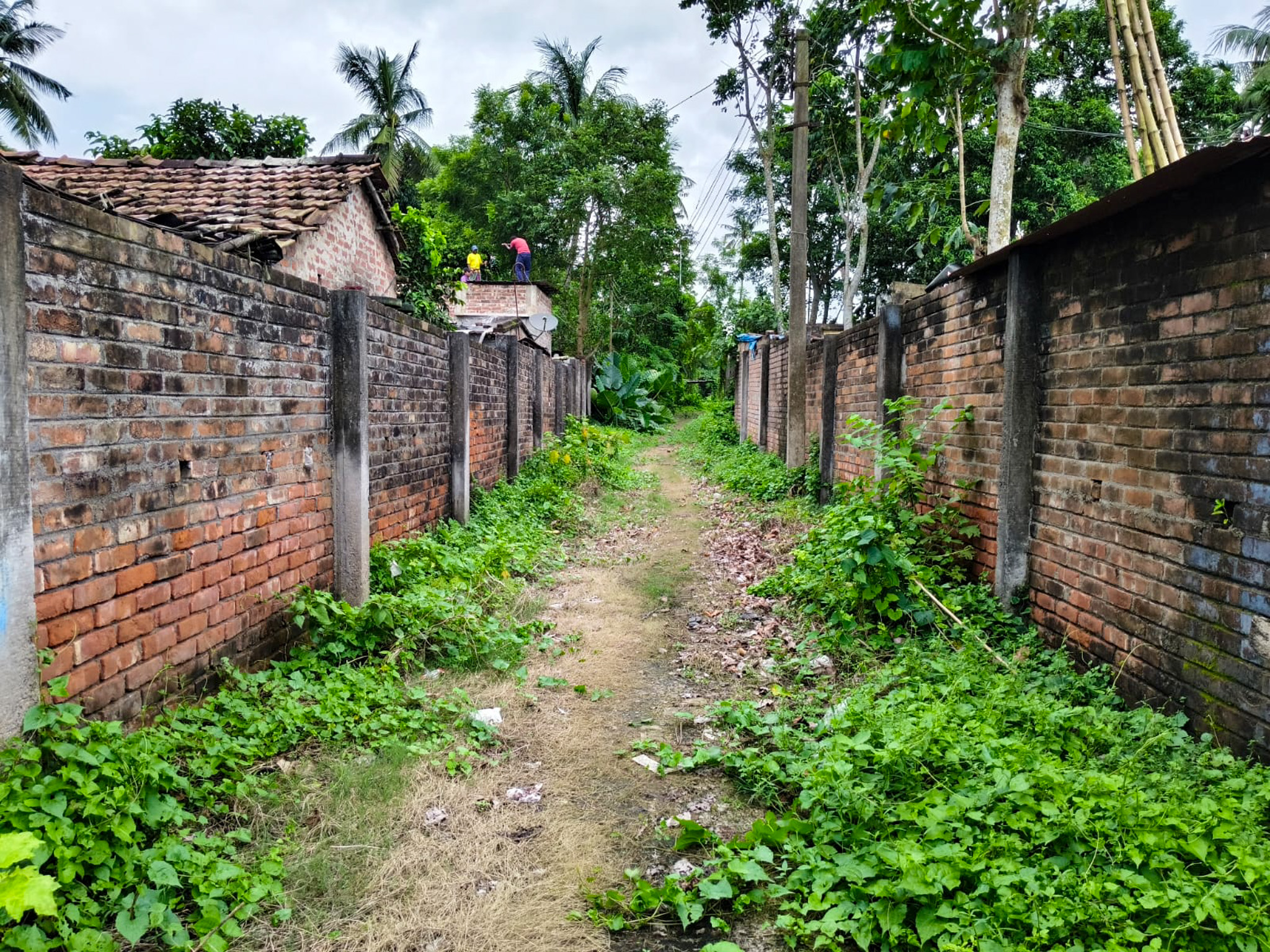 Plant and Machinery for sale in Chakdaha — photo 13