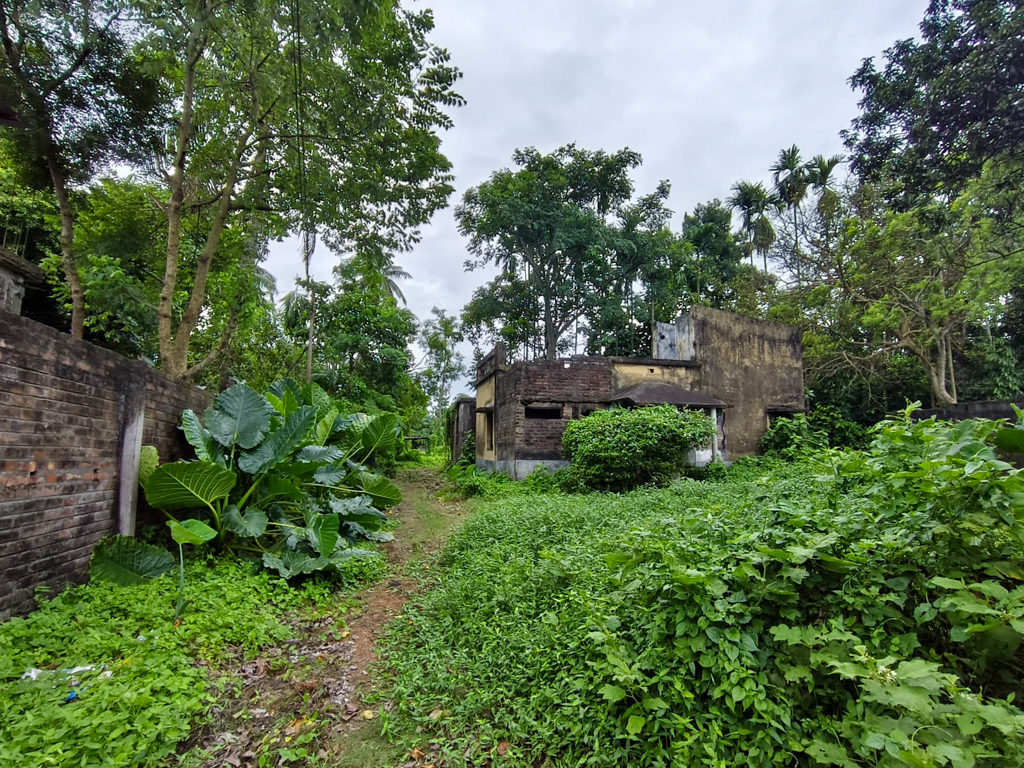 Industrial Shed for sale in Chakdaha — photo 16