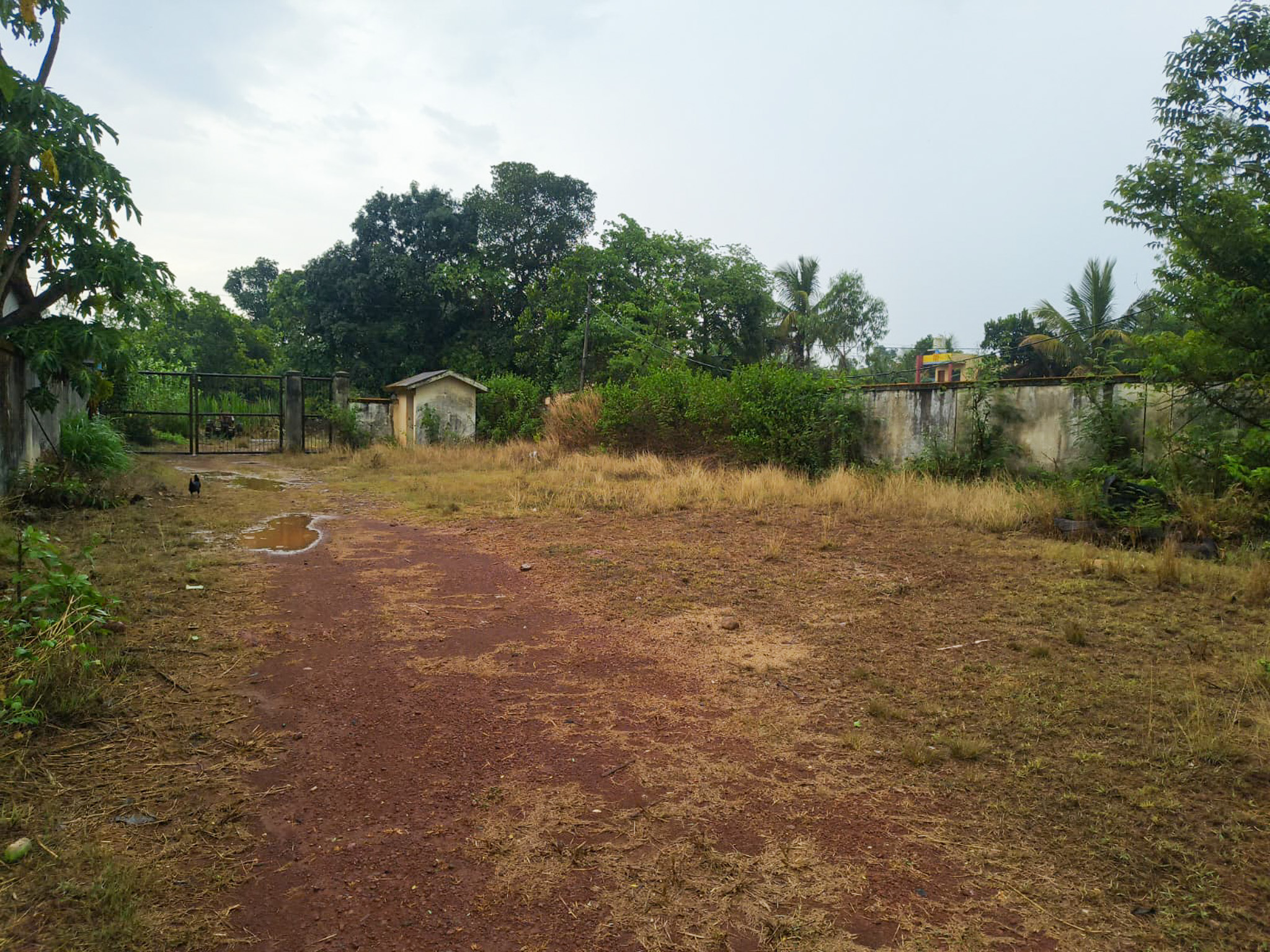 2000 square meter Industrial Plot with Factory Building for sale in Mangaon Halkarni MIDC — photo 12