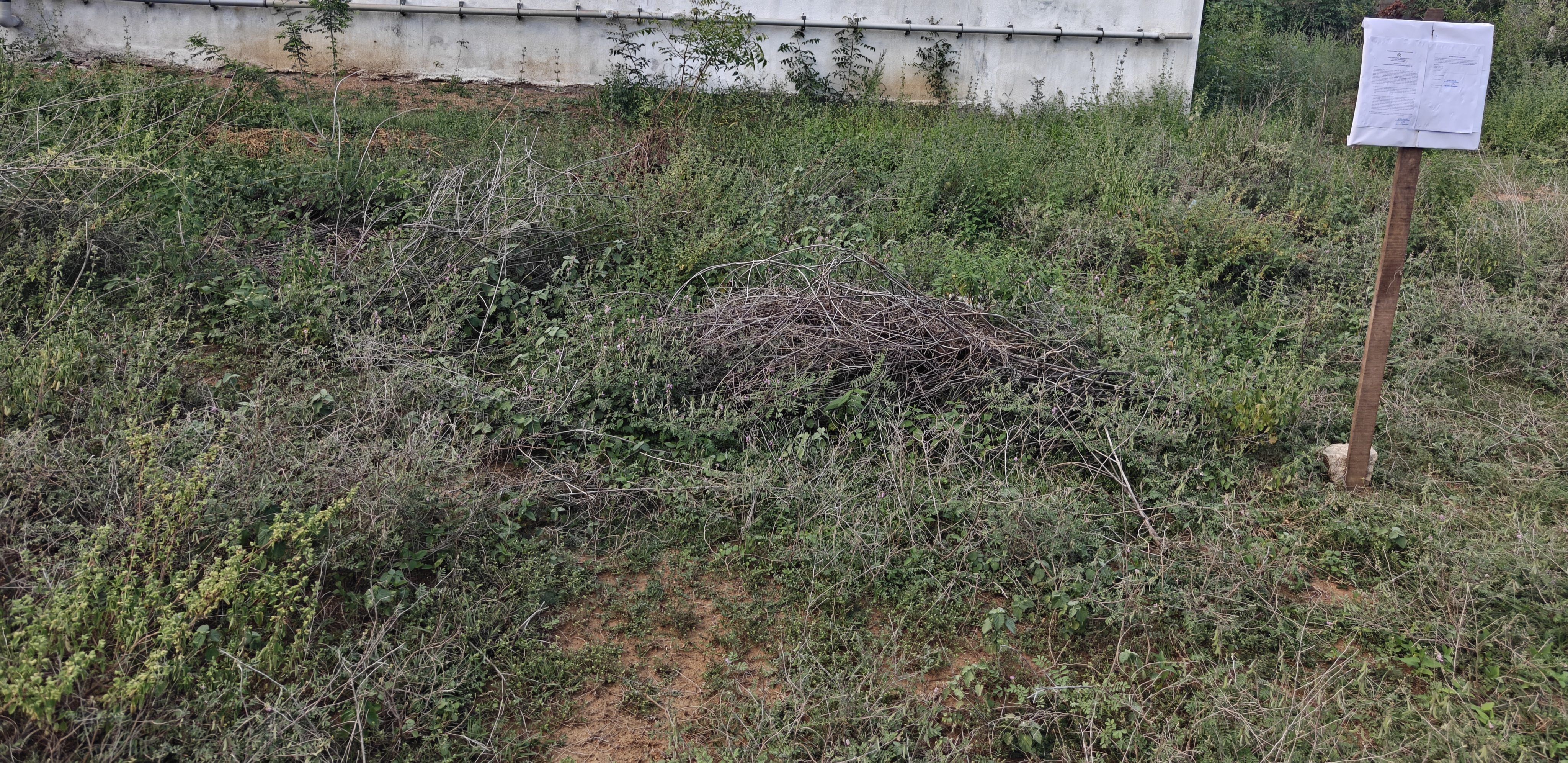 1650 square feet Plot for sale in Vellore