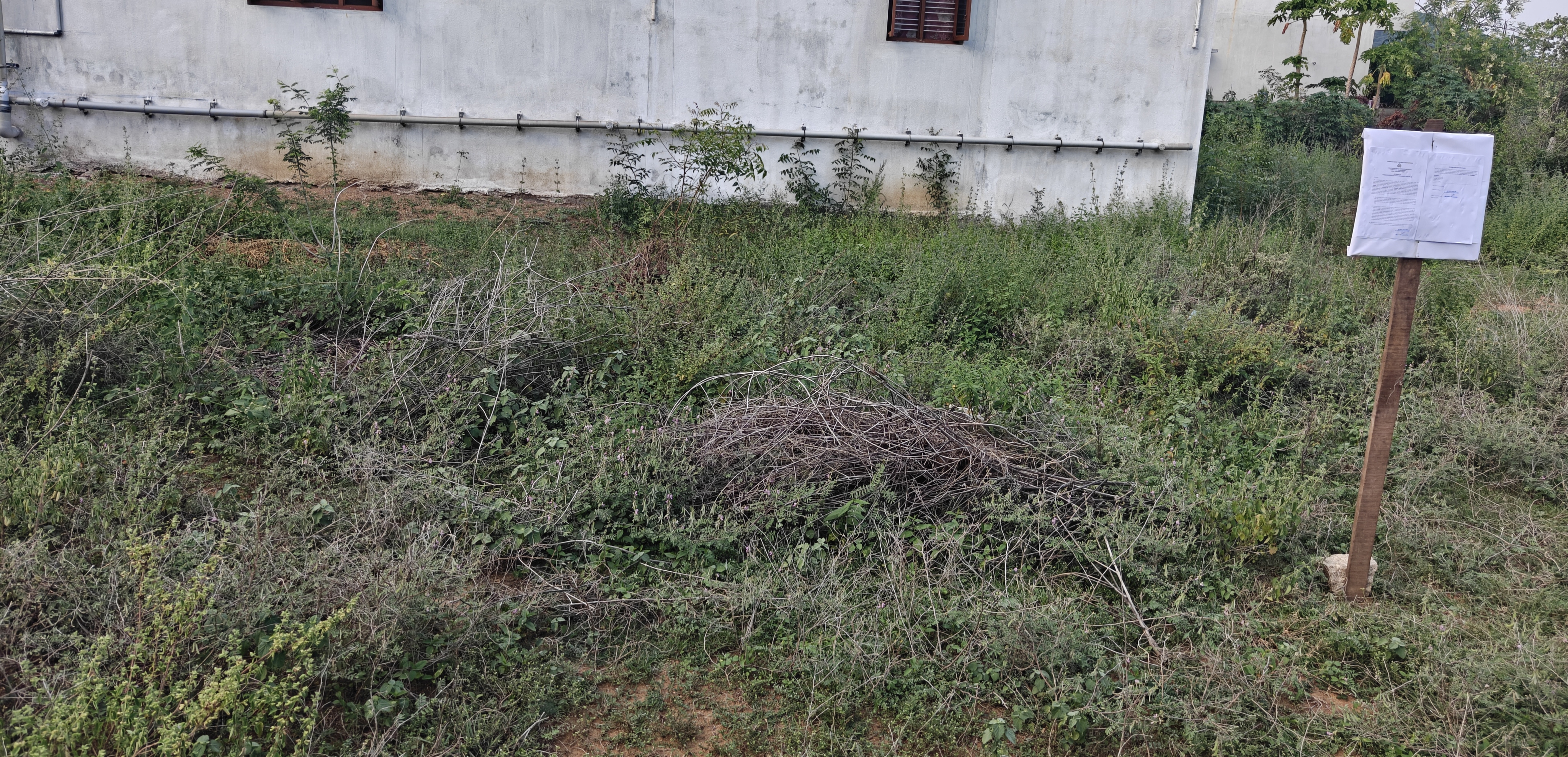 1650 square feet Plot for sale in Vellore — photo 3