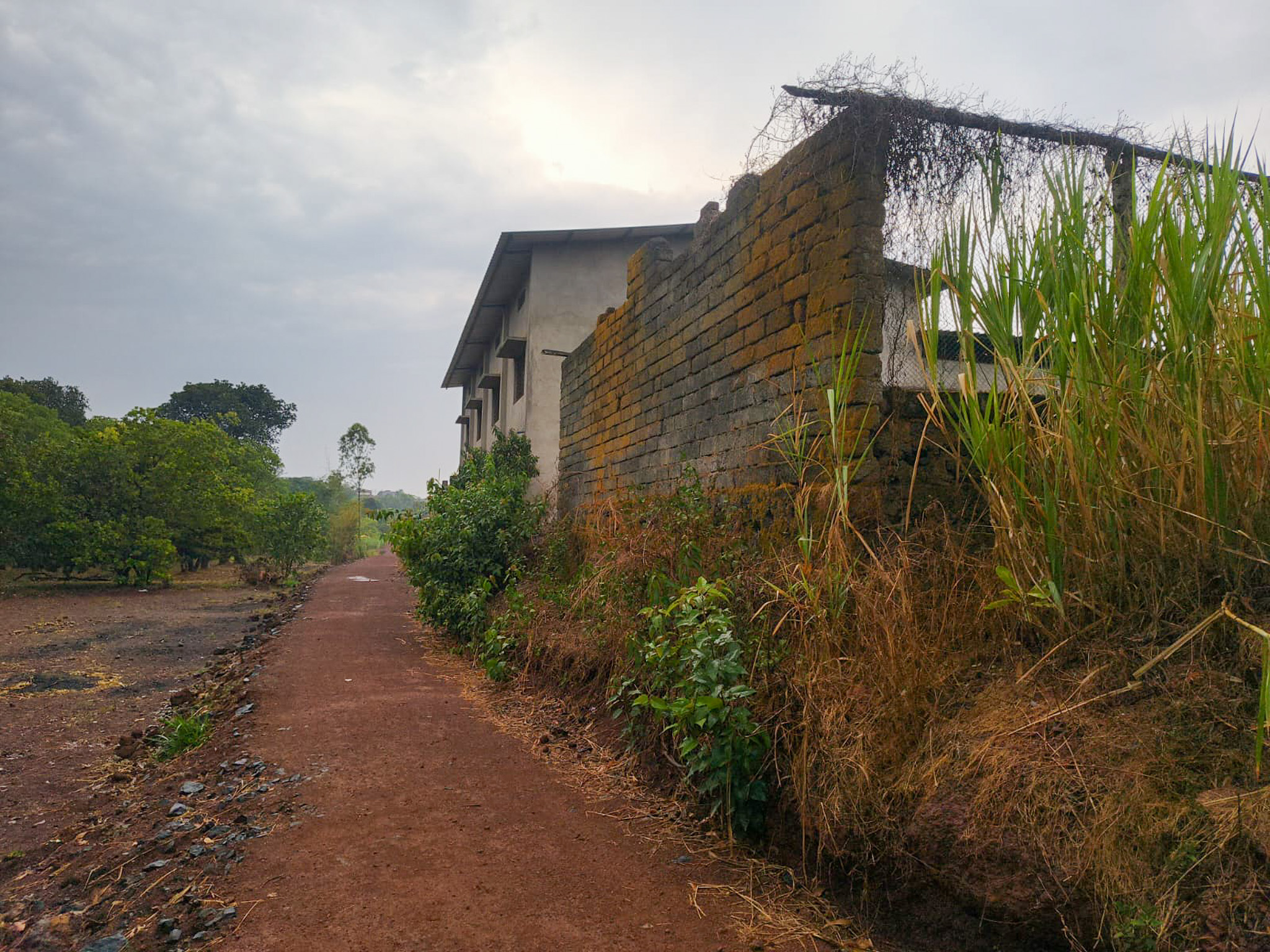 2000 square meter Industrial Plot with Factory Building for sale in Mangaon Halkarni MIDC — photo 2