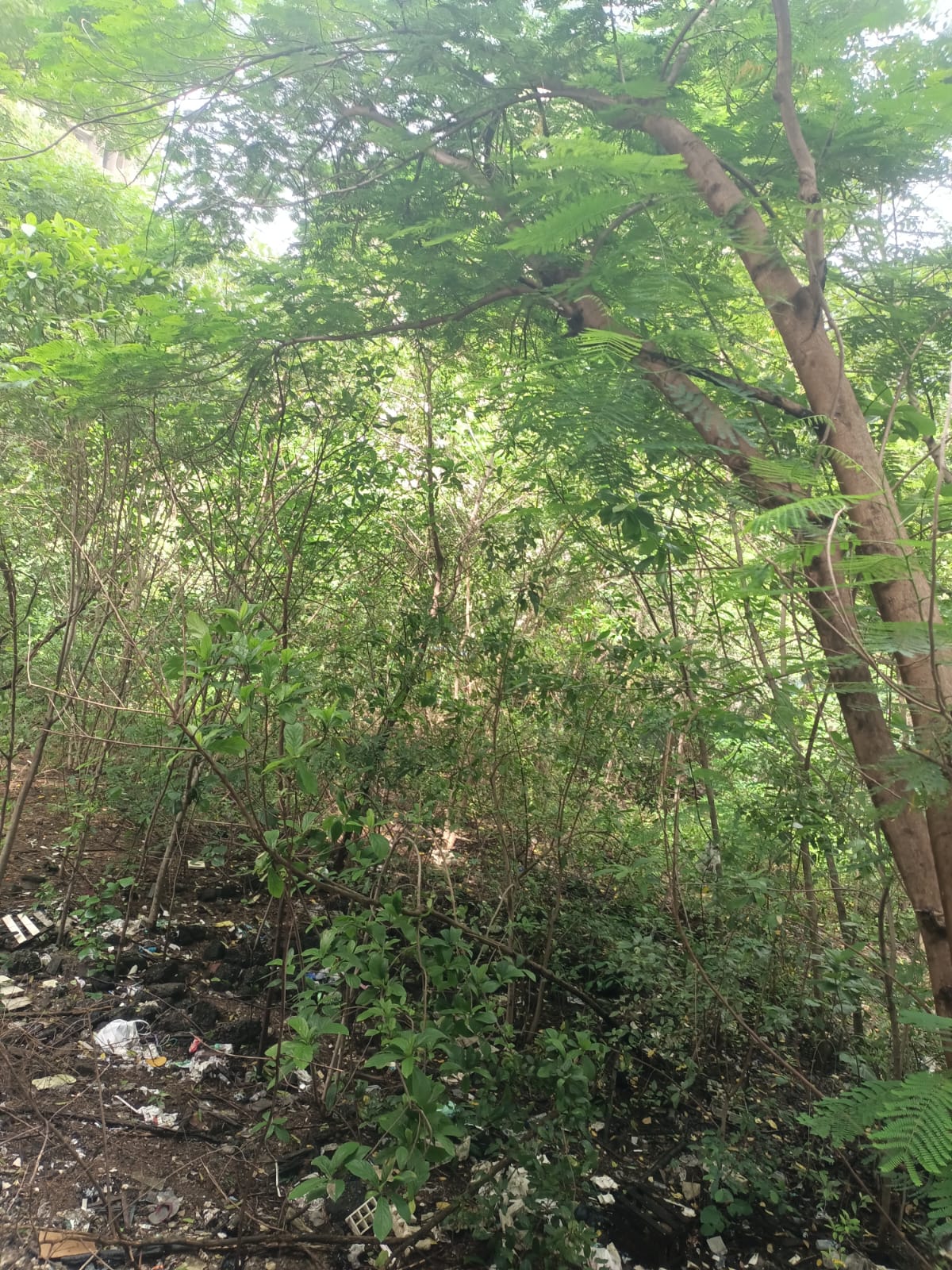 4022.22 square yard Plot for sale in Thane — photo 2