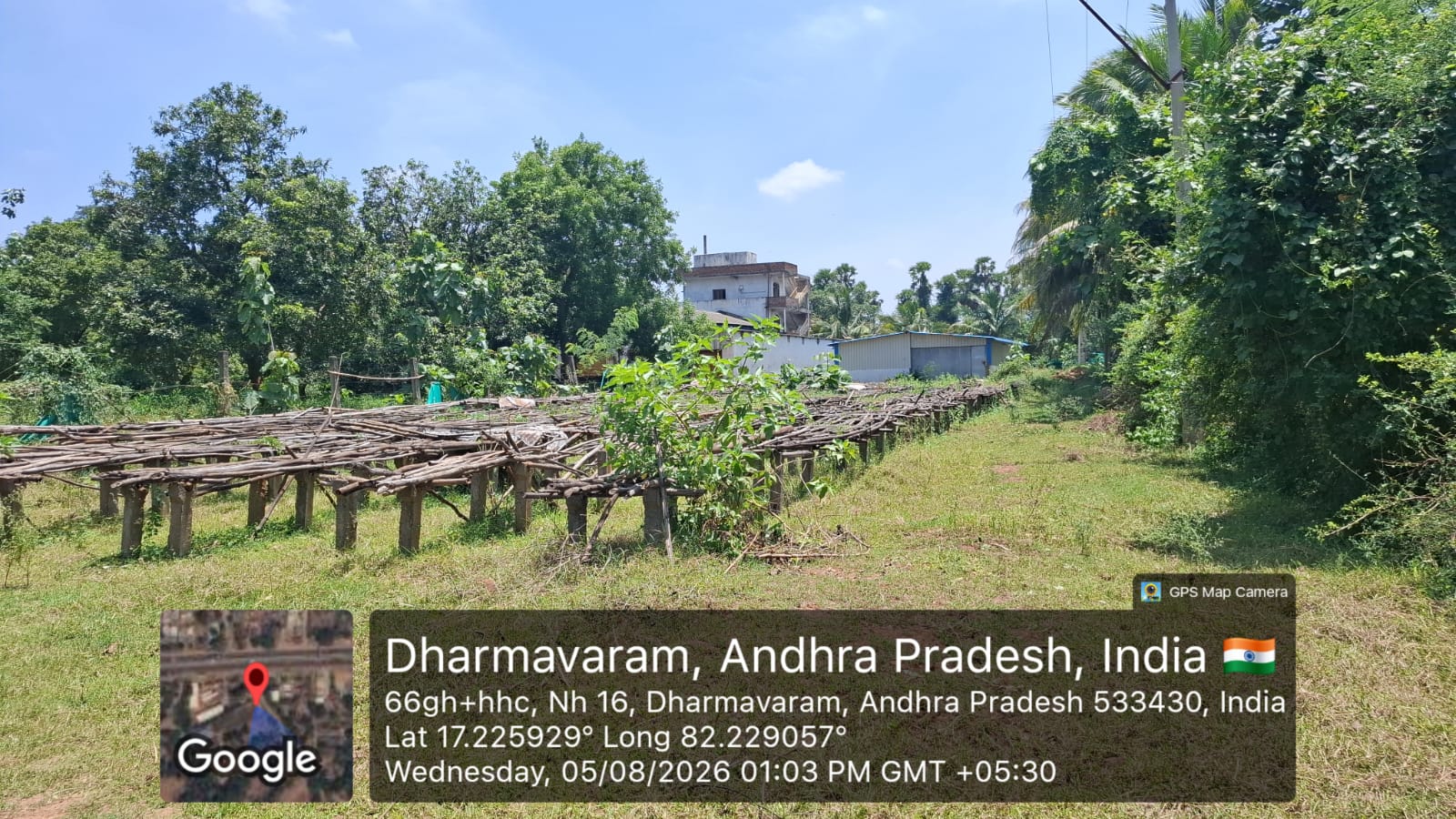 2952 square yard Plot for sale in 1 171 1 2 SYNO 440 2 DHARMAVARAM PRATHIPADU PRATHIPADU ANDHRA PRADESH 533430 Prattipadu — photo 5