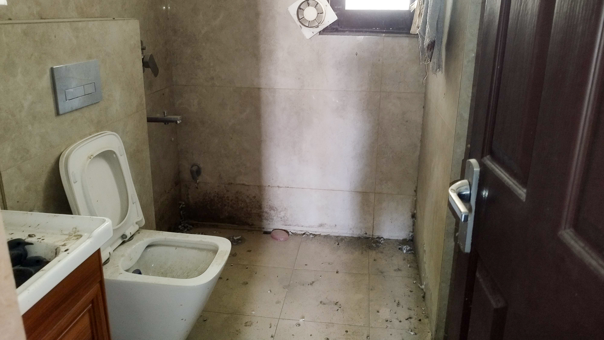 3 BHK Flat for sale in Tulip Orange, Complex Tulip Orange Gurugram Gurugram — photo 9