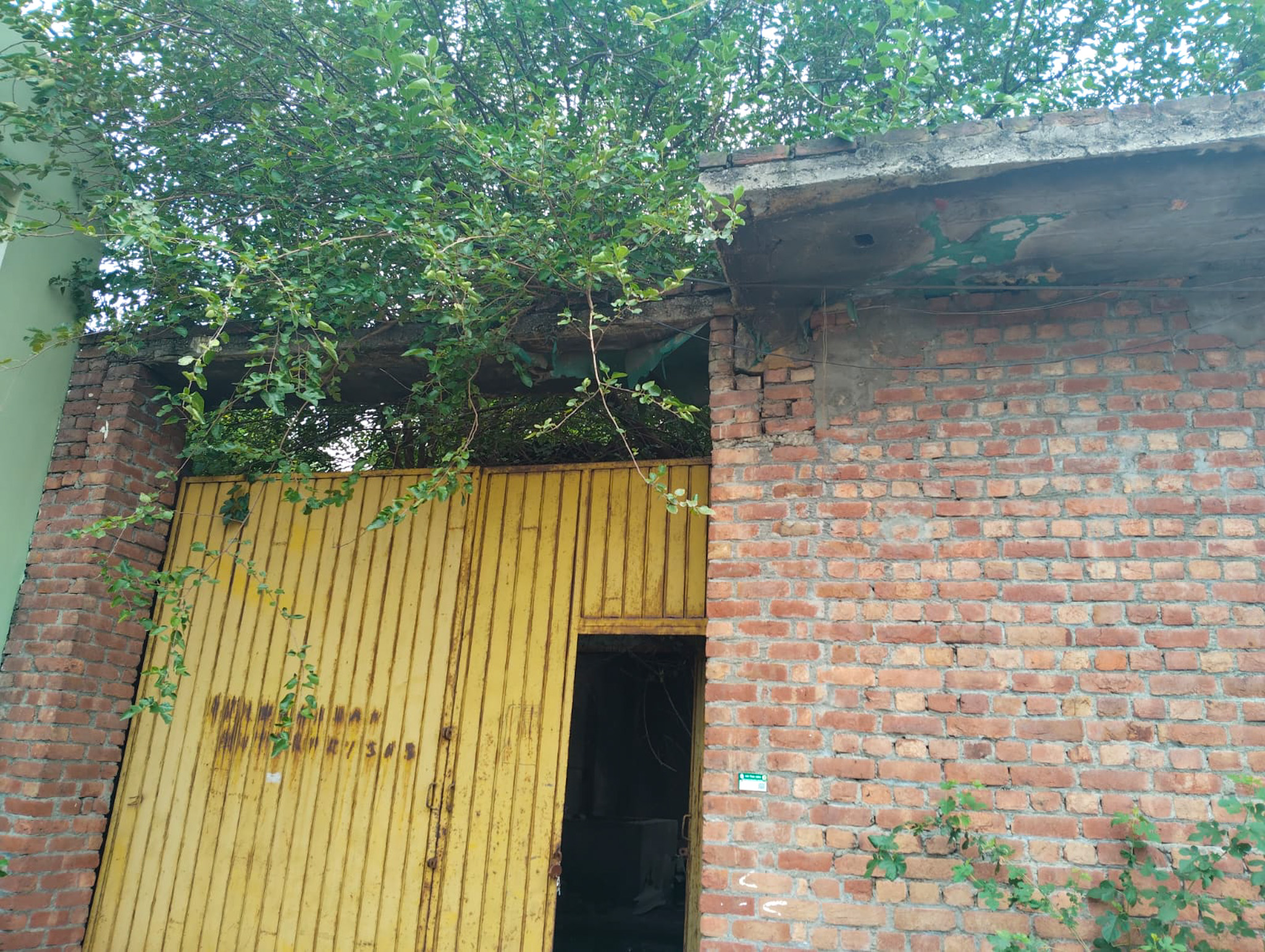 Individual House for sale in Jalandhar — photo 11
