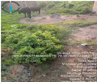 Plot for sale in Amanganj Chhatarpur — photo 4