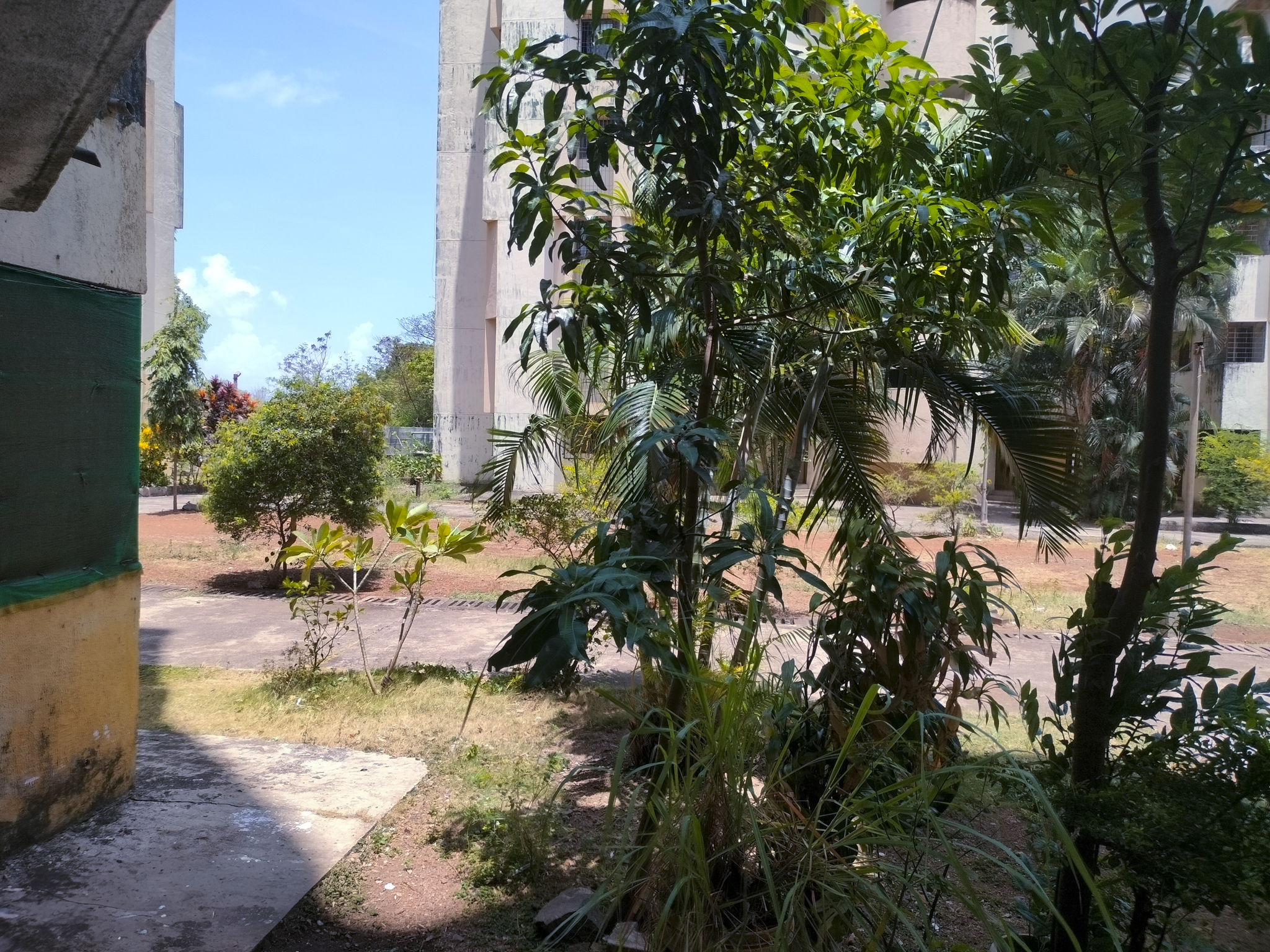 2 BHK Flat for sale in VIDYA SAGAR CHS, Dronagiri Residential Complex Mumbai — photo 6