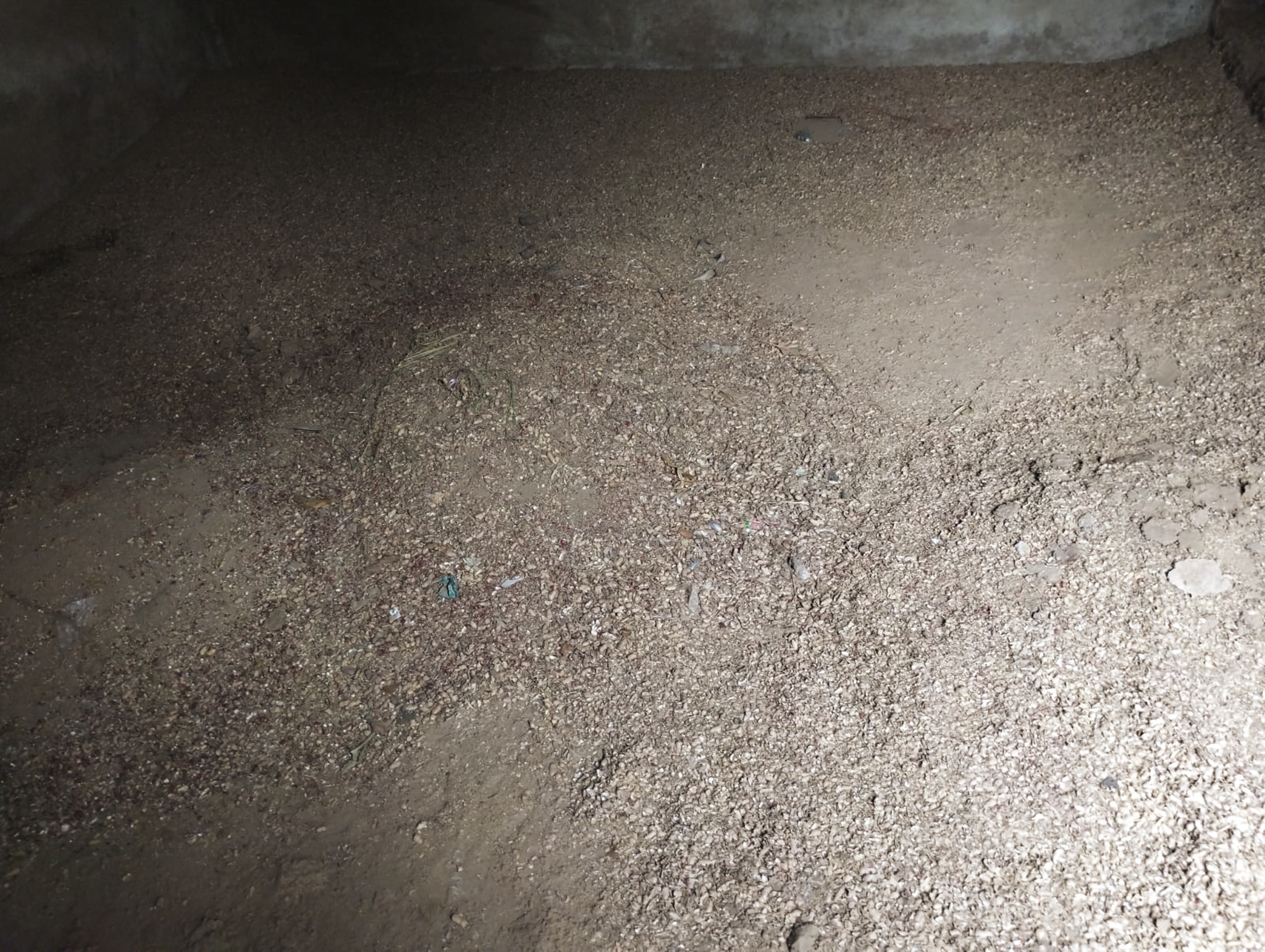 456.4 square meter Industrial Shed for sale in PRAGATI INDUSTRIAL ESTATE, PRAGATI INDUSTRIAL ESTATE, KAPADWANJ MODASA ROAD, KAPADWANJ, KHEDA-387620 Kapadvanj — photo 18