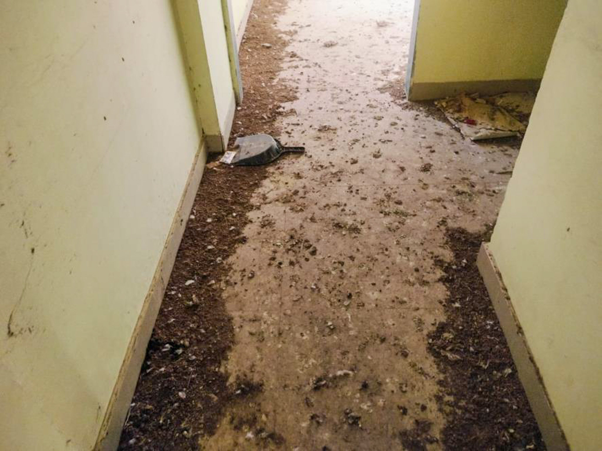 Flat for sale in Kalyan — photo 5