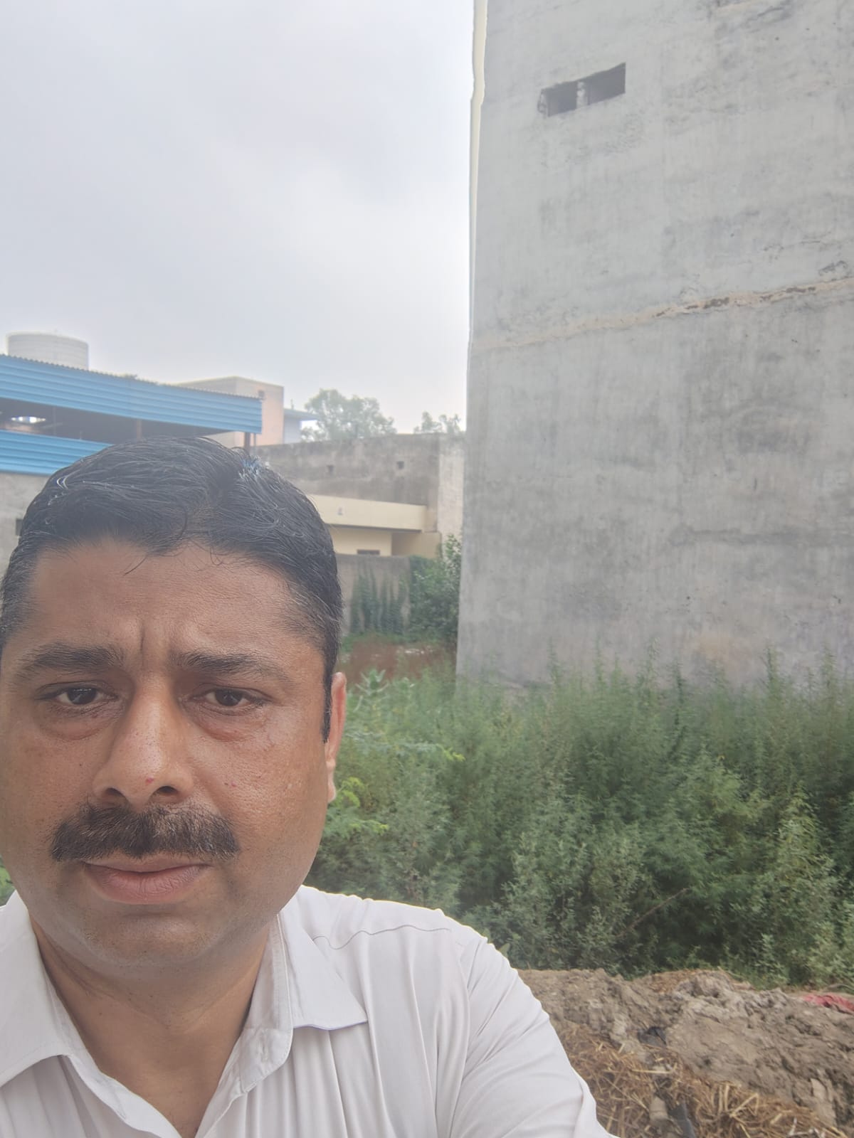 320 square yard Plot for sale in Rajpura — photo 4